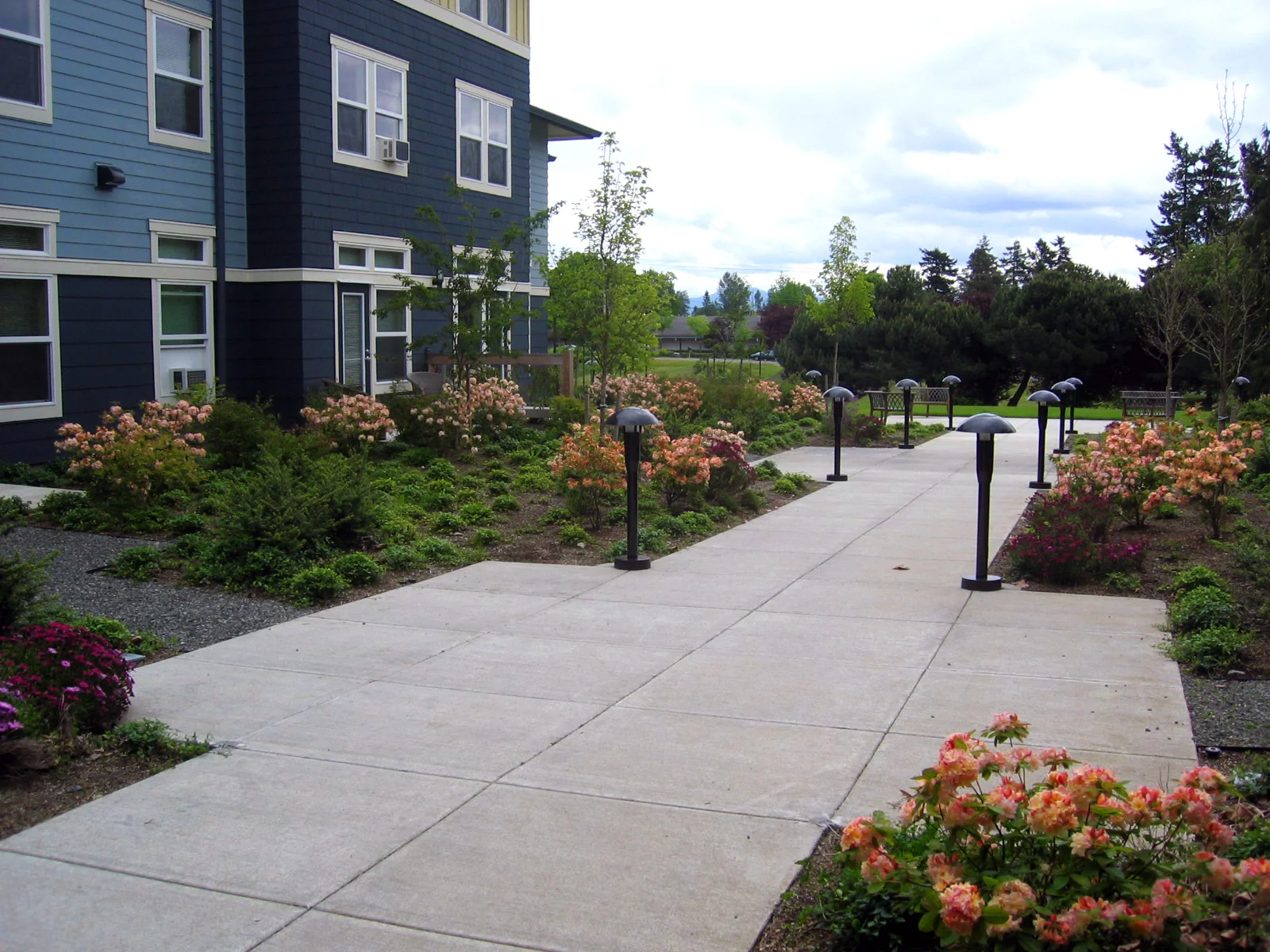 Angle Lake Court — Fazio Associates Landscape Architects