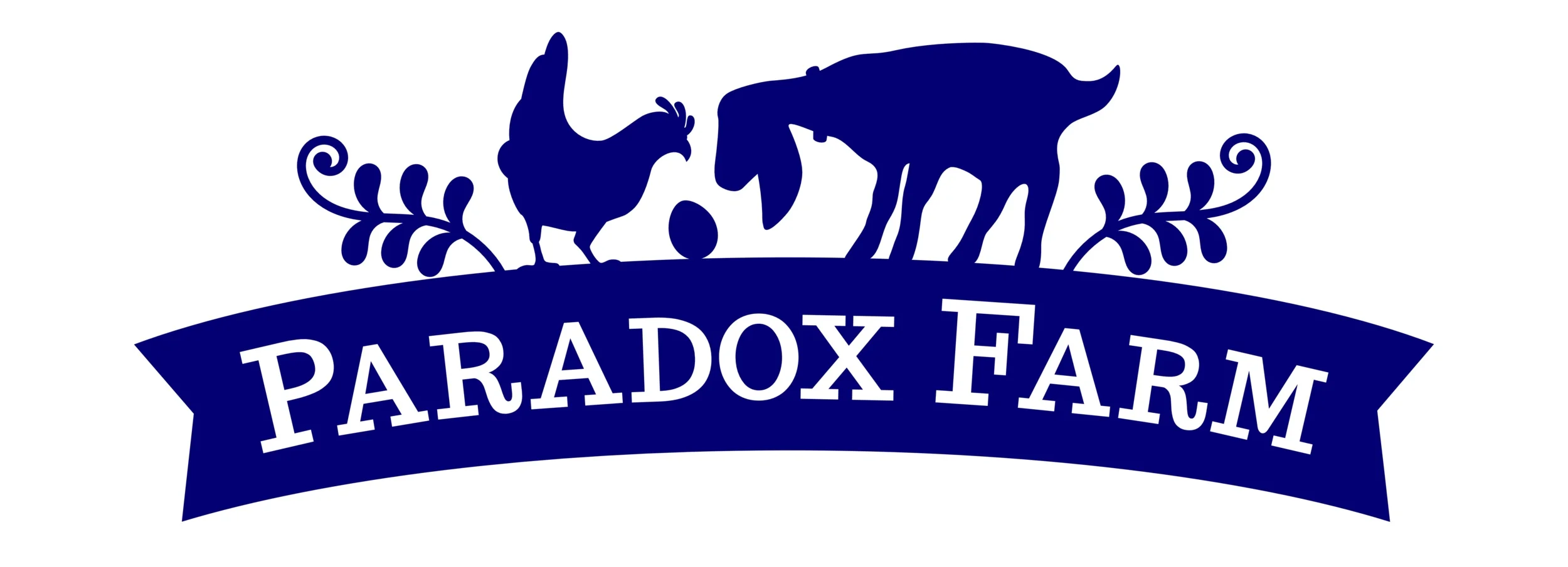 Sue+Stovall+-+paradoxfarm2_blue_dark+copy.jpg