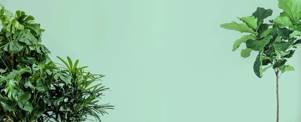 HomeBanner_3.jpg