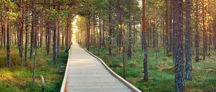 An Agile Decade: Past, Present, and Future