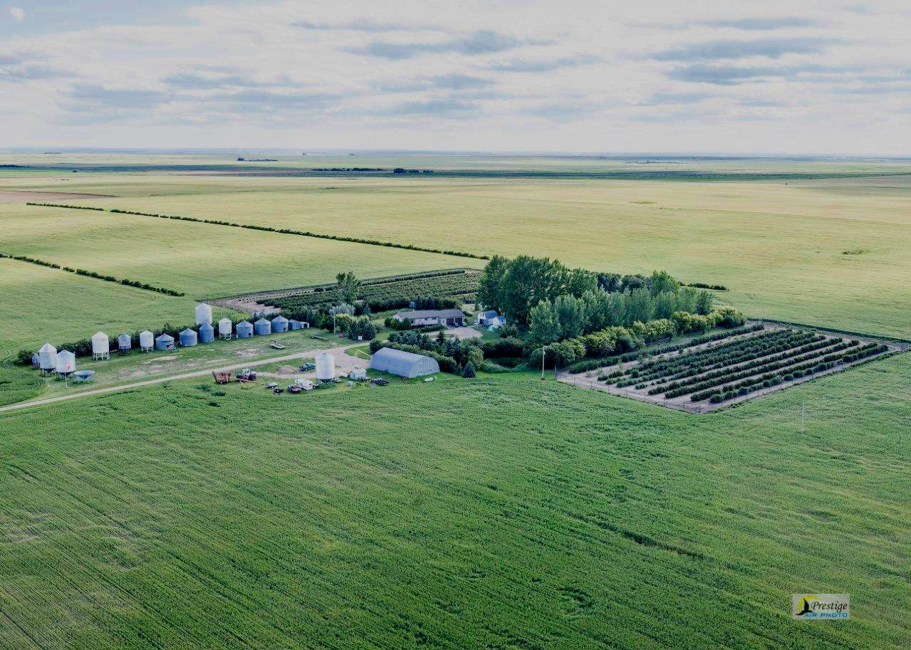 Ariel+BBB+farm+photo.jpg