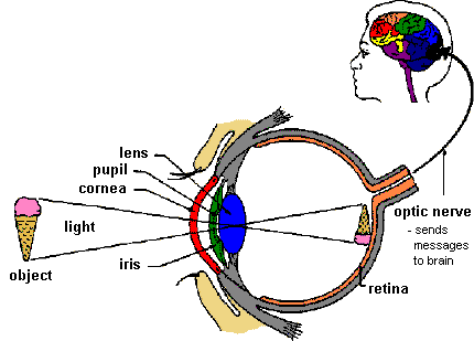 193 Science-Y Stuff (6) Aquino's 5 Ways and Vision