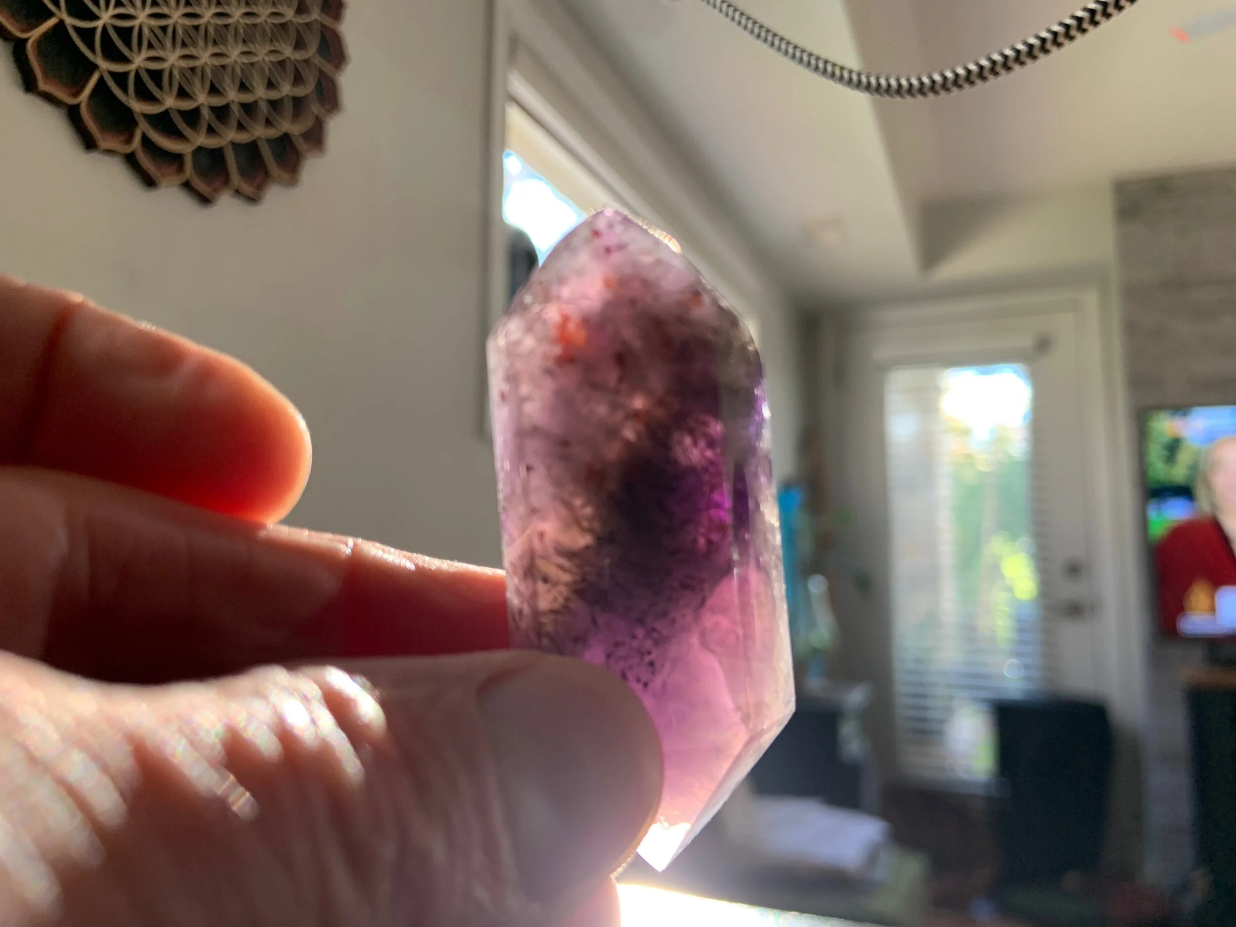 25F005D8-6FA7-4188-AD6F-CEDFB65A0055