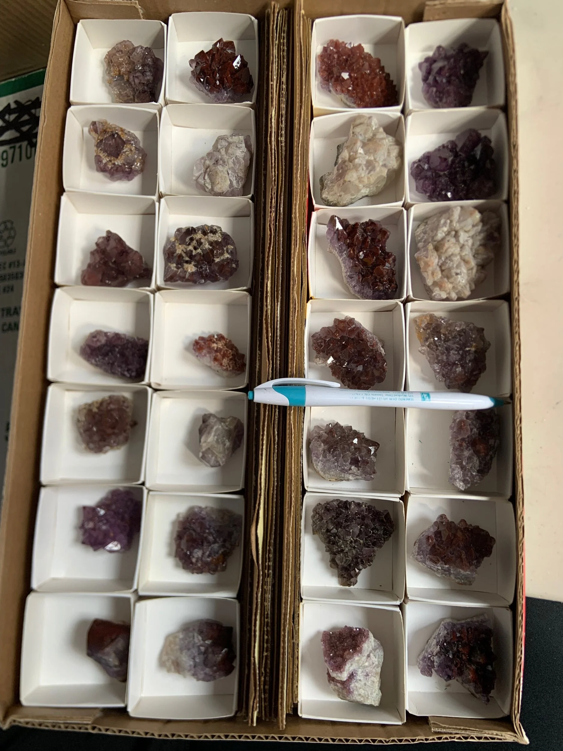 88D6073B-20C0-4D39-9274-EA948002575C