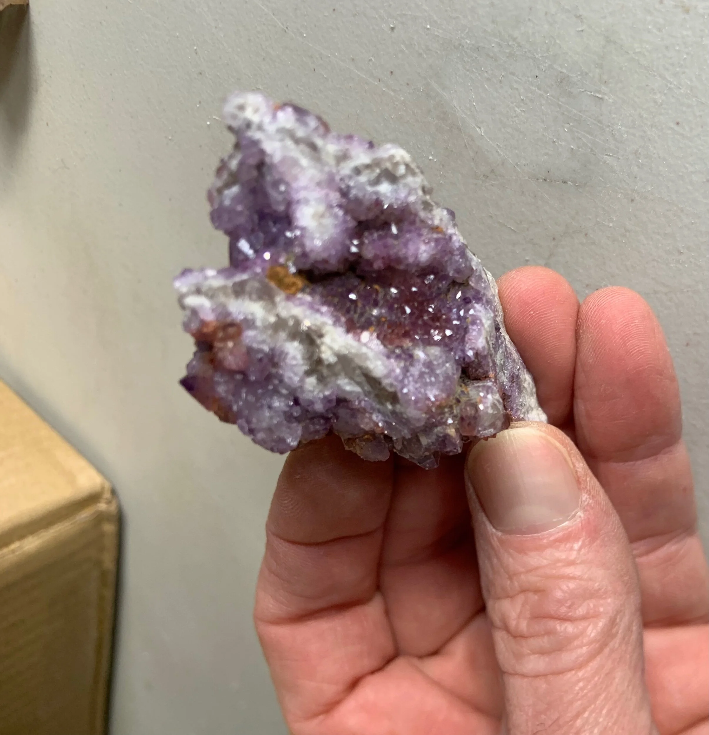 FF8027F0-2D5C-4198-AF60-6EE66BE1450E