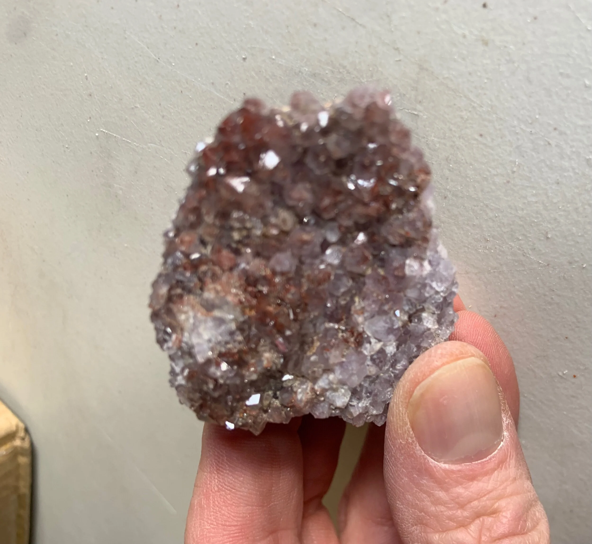 0AA555F9-950C-4931-B244-2CF69BF5FFDB