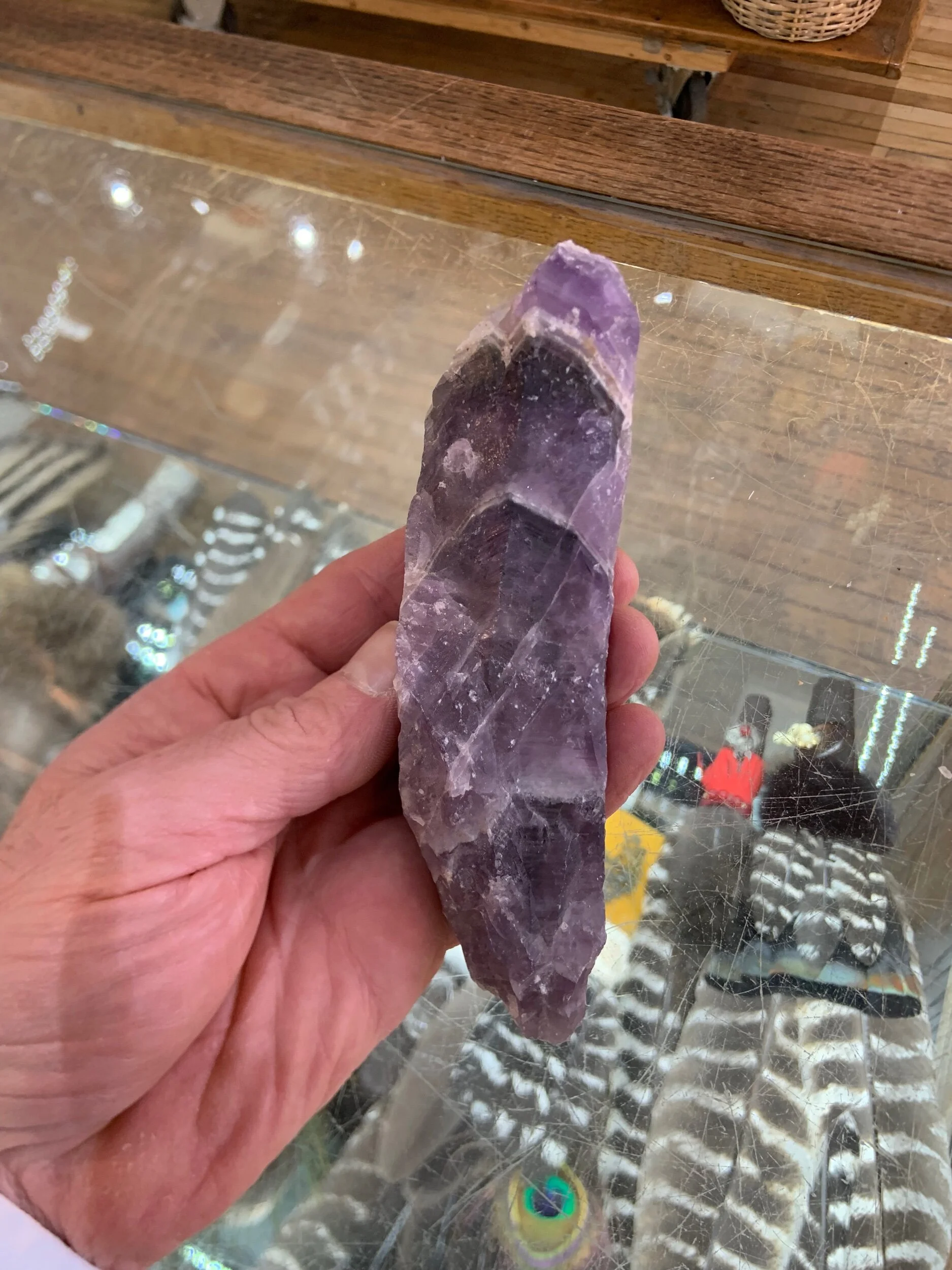 AA1BA44C-2CE9-480C-BEED-A02631F18EFE