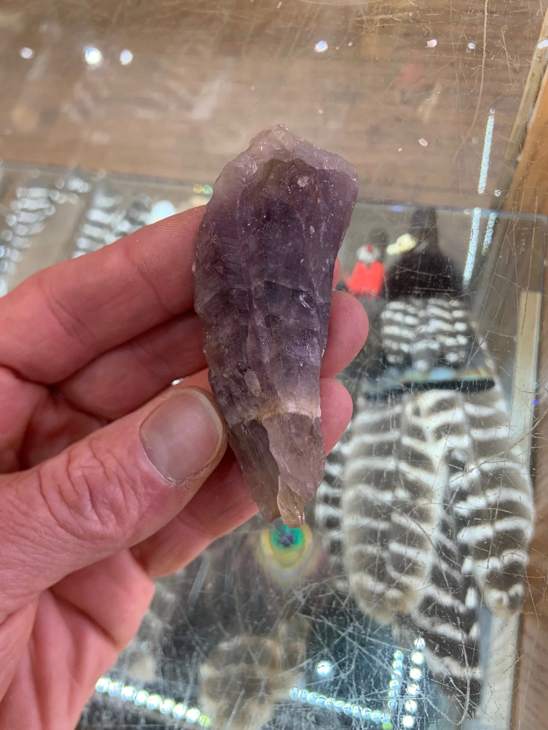 1B76D5F5-C09C-47EF-A962-C83C879F9242