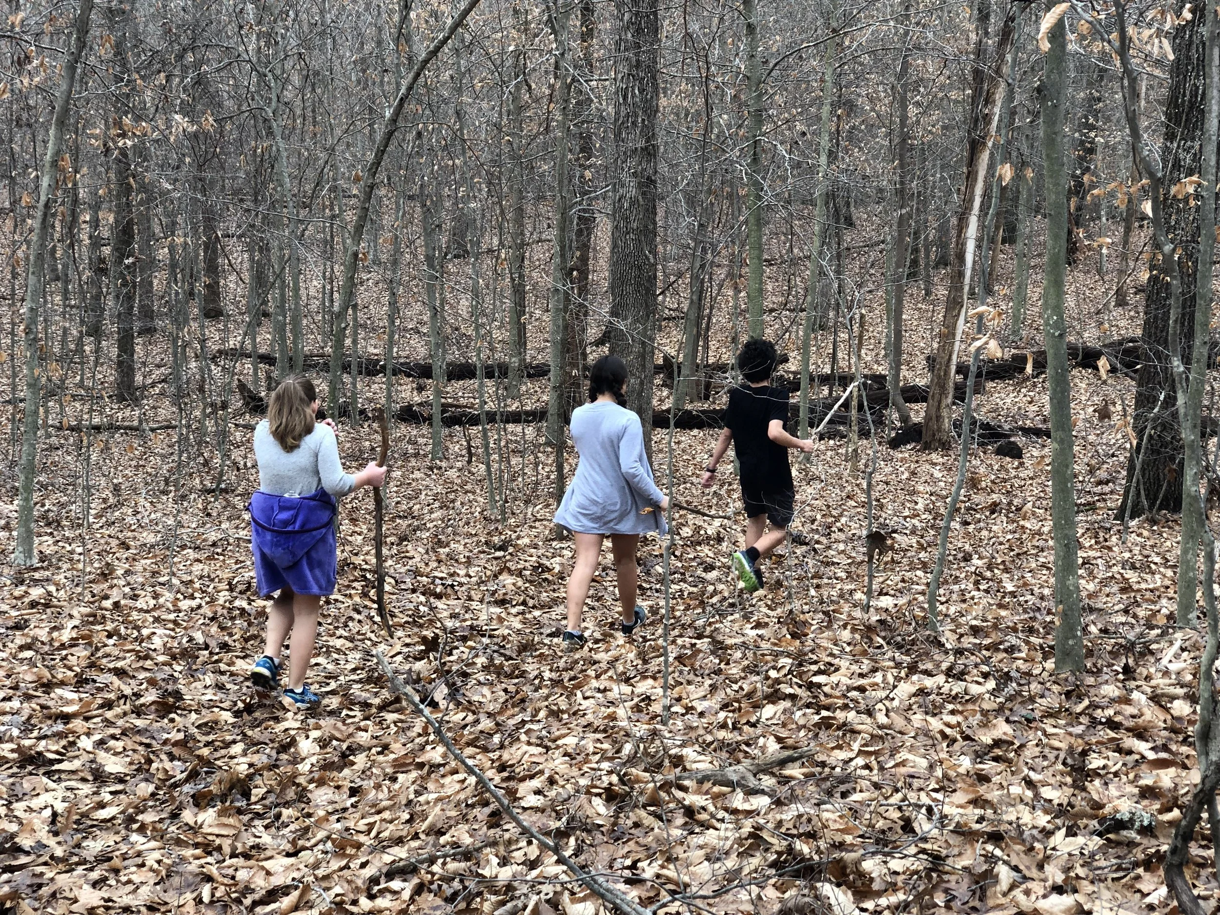 Starting up a law practice...