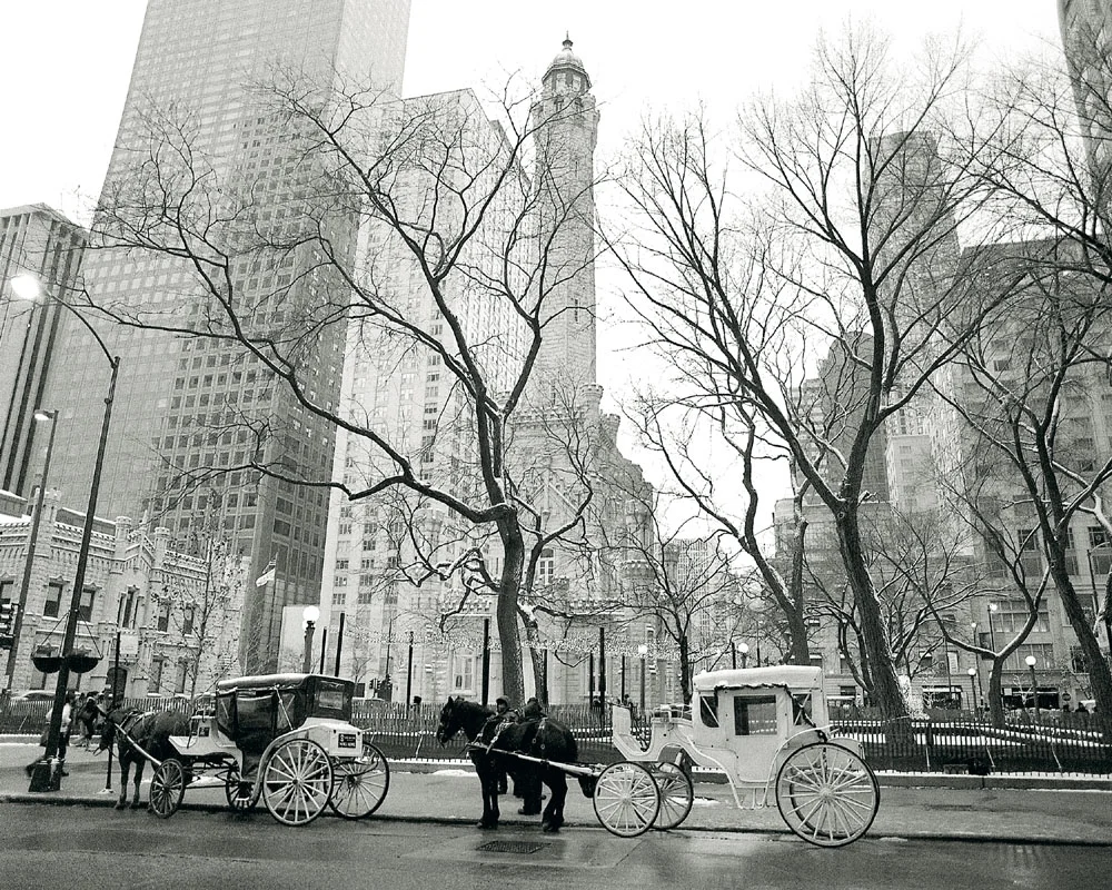 bw106.jpg