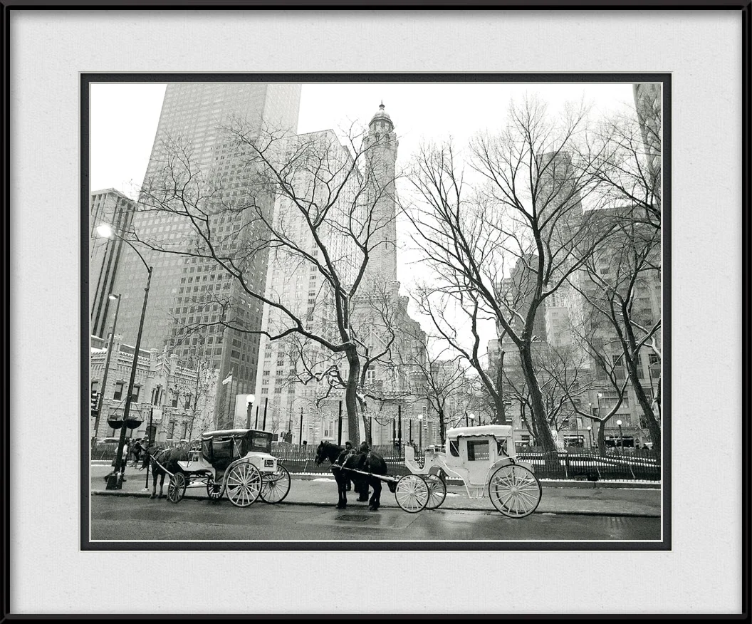 bw106.jpg
