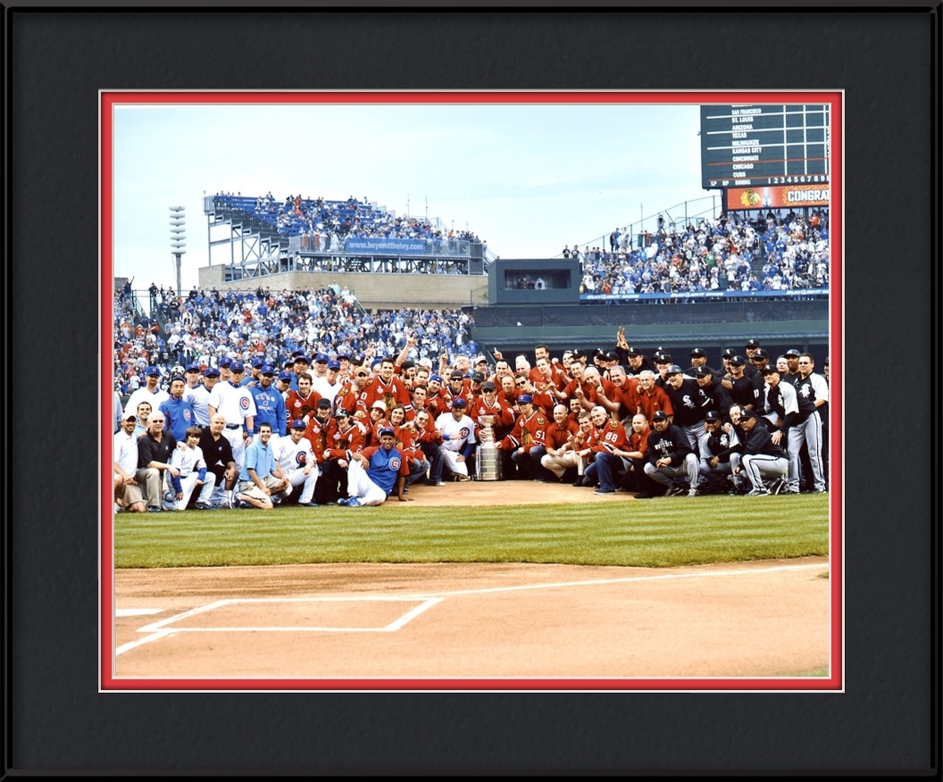 hawks2010.jpg