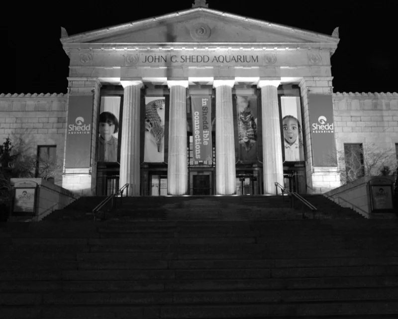 bw104.jpg