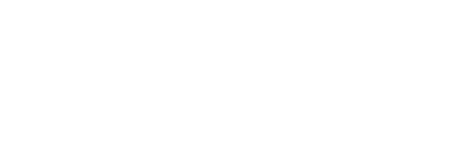 2911_future-con_2019_logo-wht.png