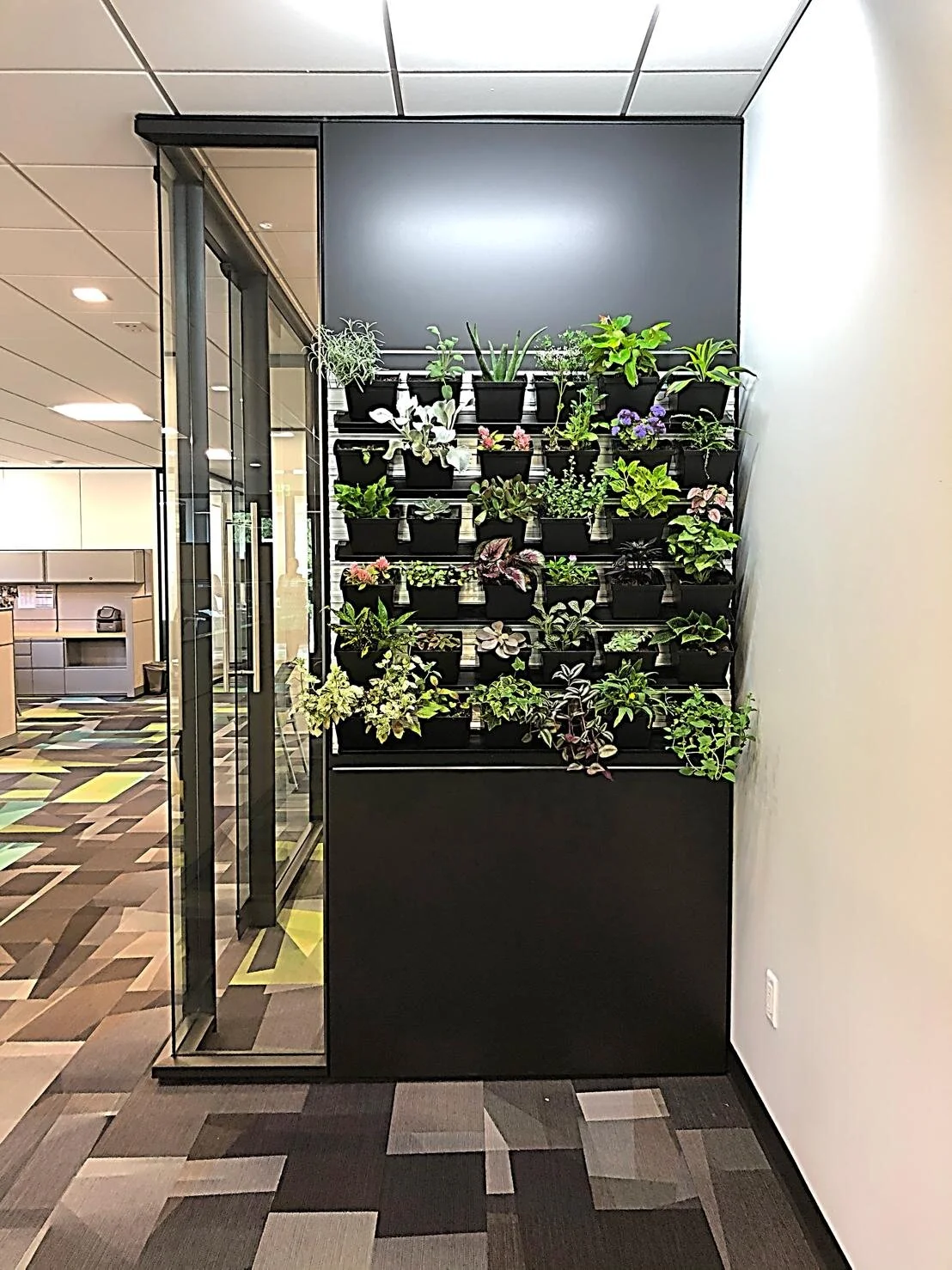Commercial — Five Hills Design, LLC