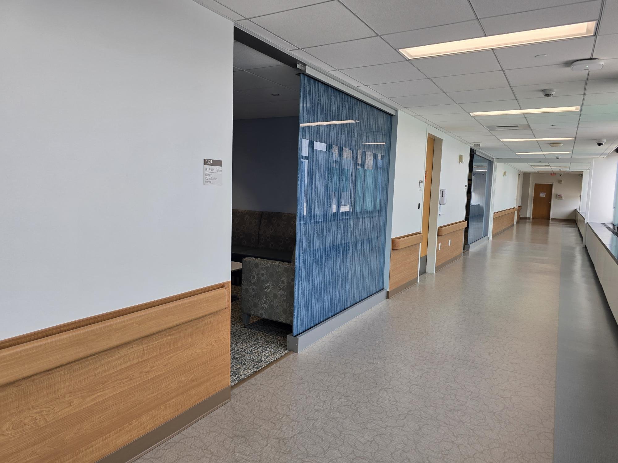 Upgraded finishes in entry corridor