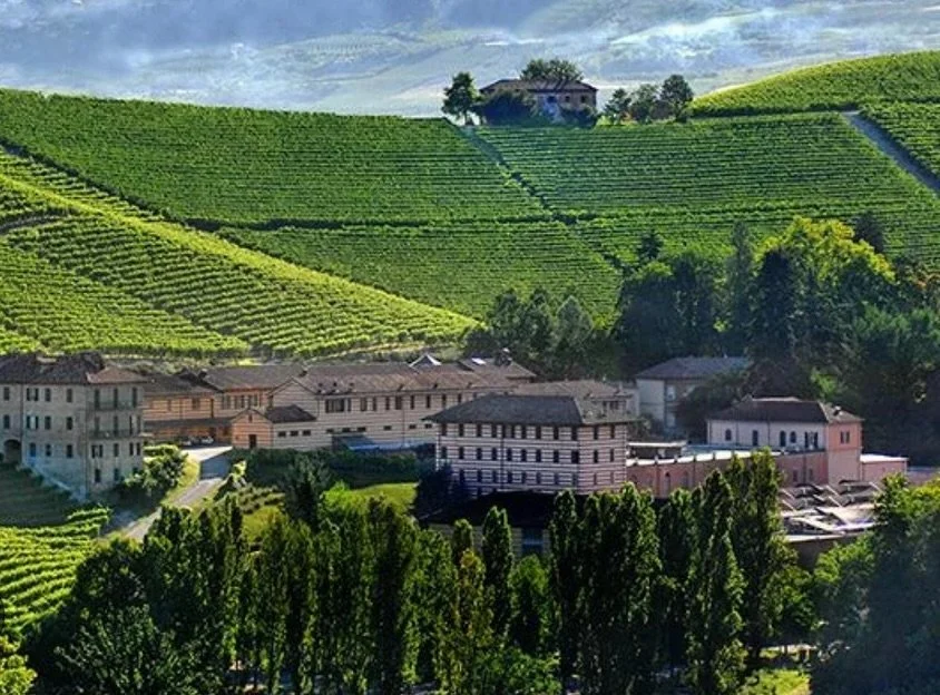 Experience an unforgettable wine pairing evening! 🍷 Burkes Market and Theresa's South invite you to meet Fontanafredda Wines' VP Robert Bruno on Nov 6th at 6:30 p.m. Enjoy 5 exceptional wines paired with a 4-course menu crafted by Theresa's South. $