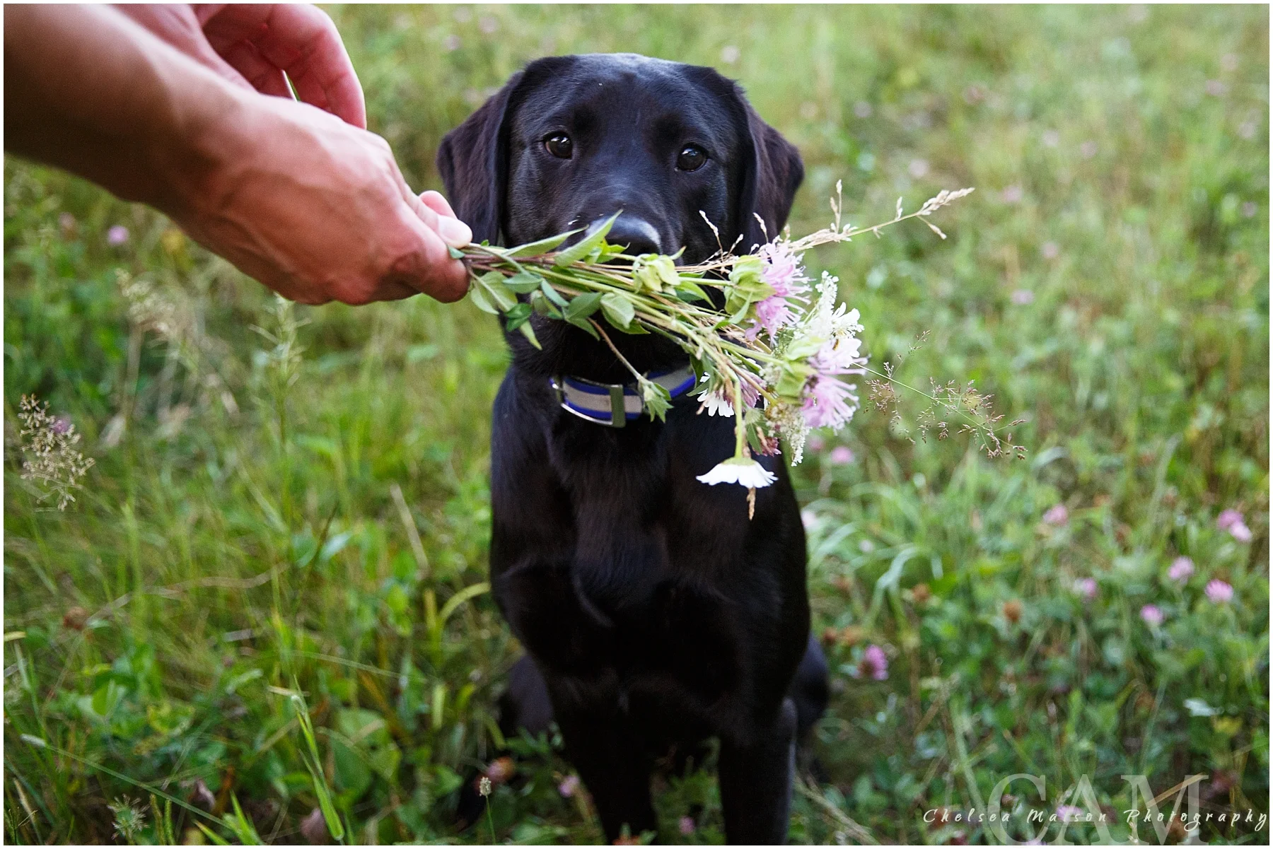 Jordanne + Jojo - Chelsea Matson Photography