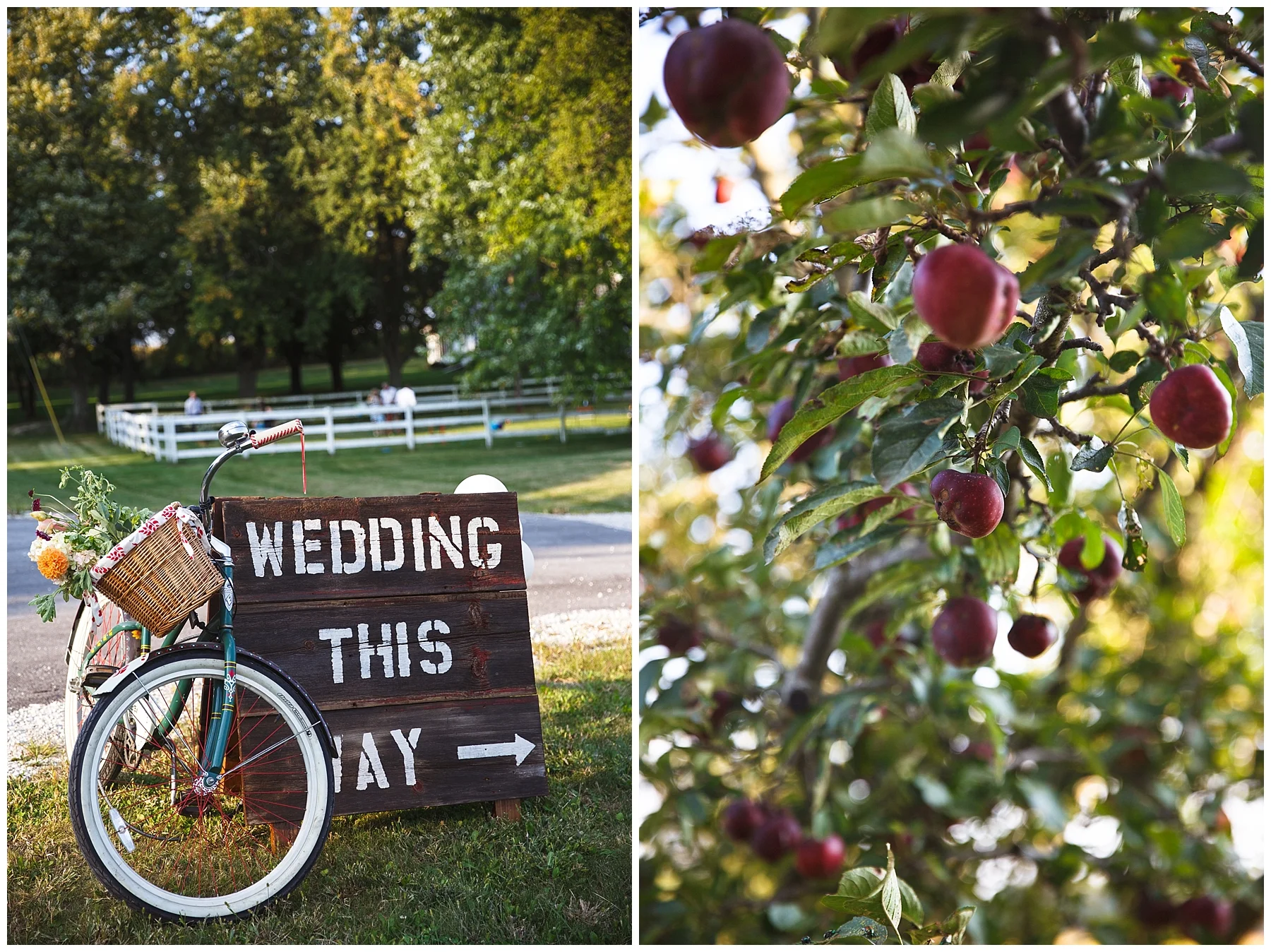 Kim + Jeff Married at Mapleton Barn - Chelsea Matson Photography 2017