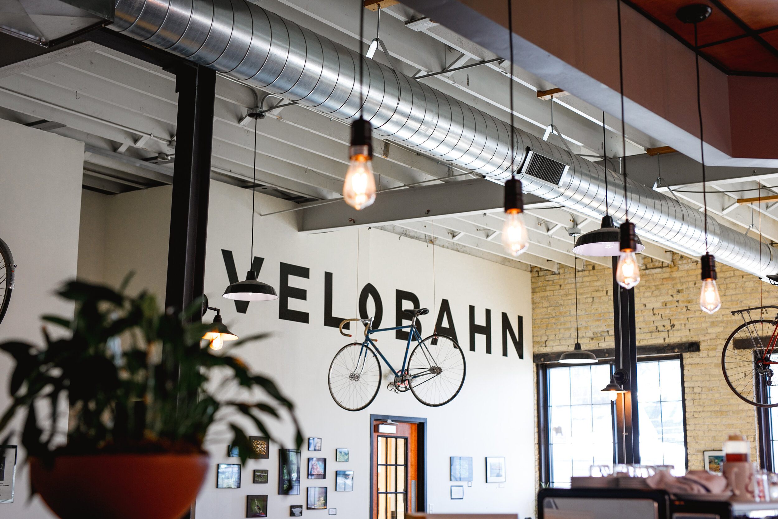 Velobahn Branding-43.jpg