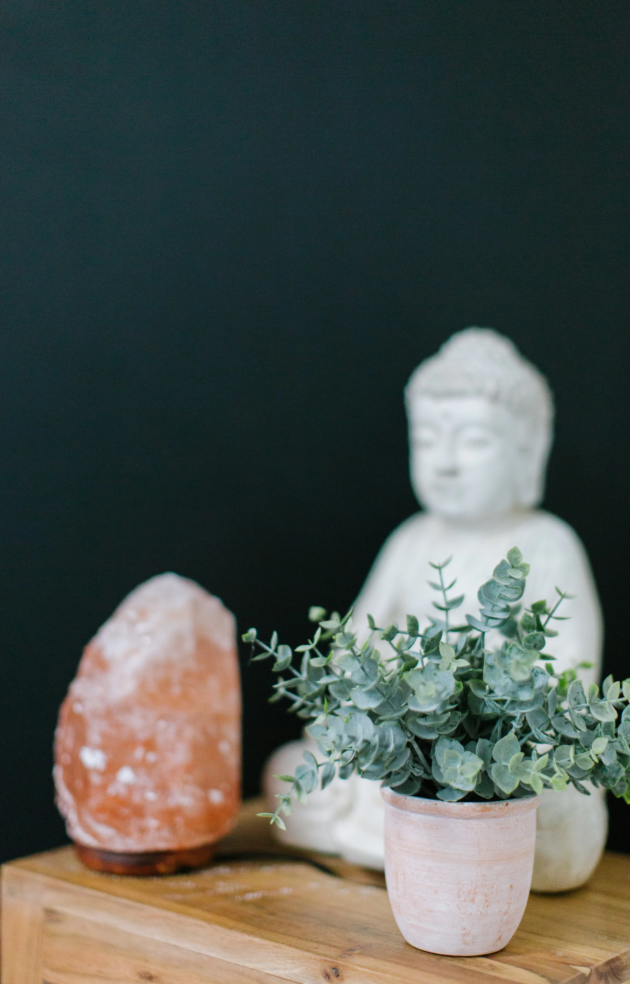 WiseStarWellness-5610.jpg