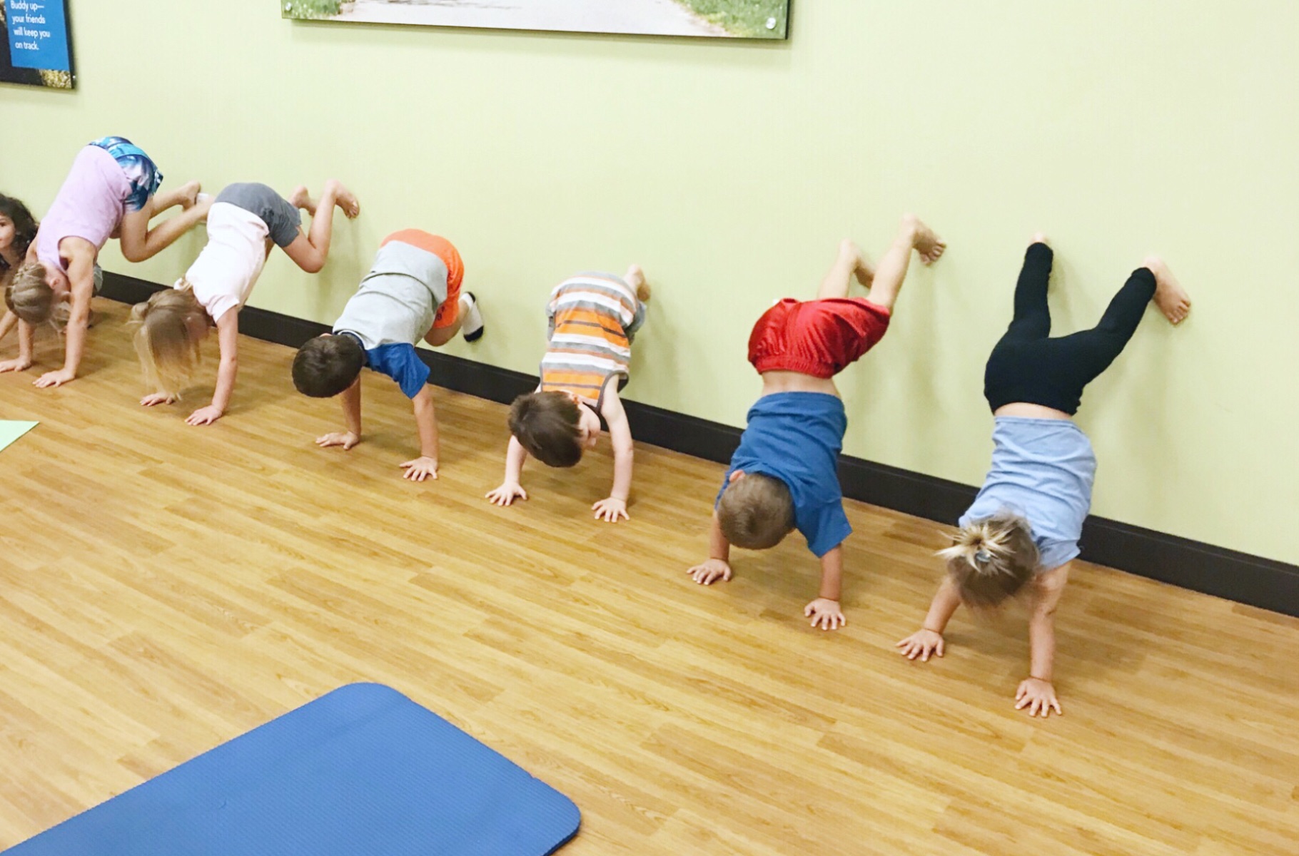 Schedule + Locations — Wise Star Wellness Schedule + Locations — Wise Star Wellness