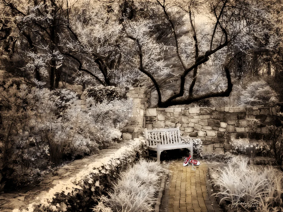 The Ruby Slippers