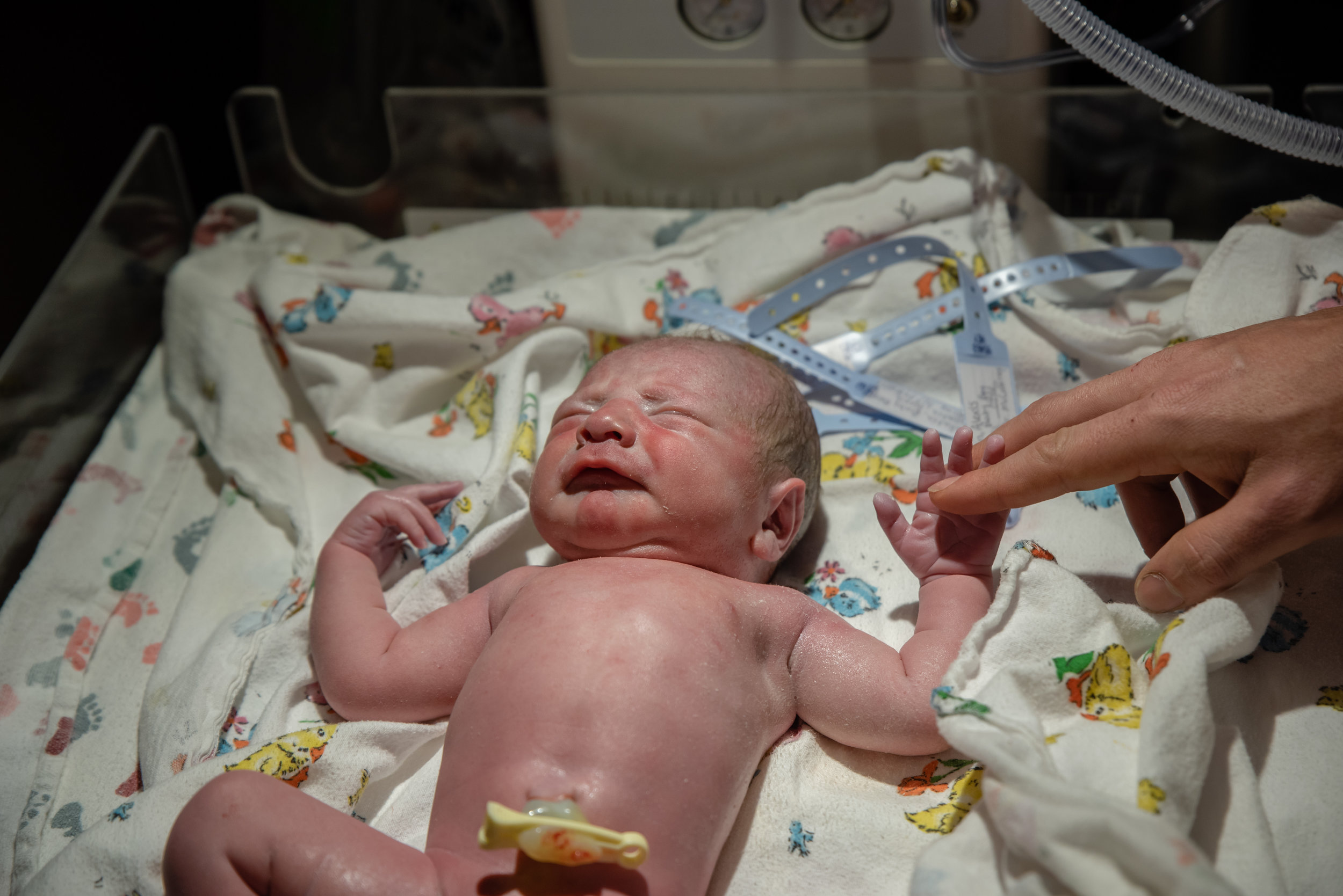 20190203 Gallatin Birth-116.jpg