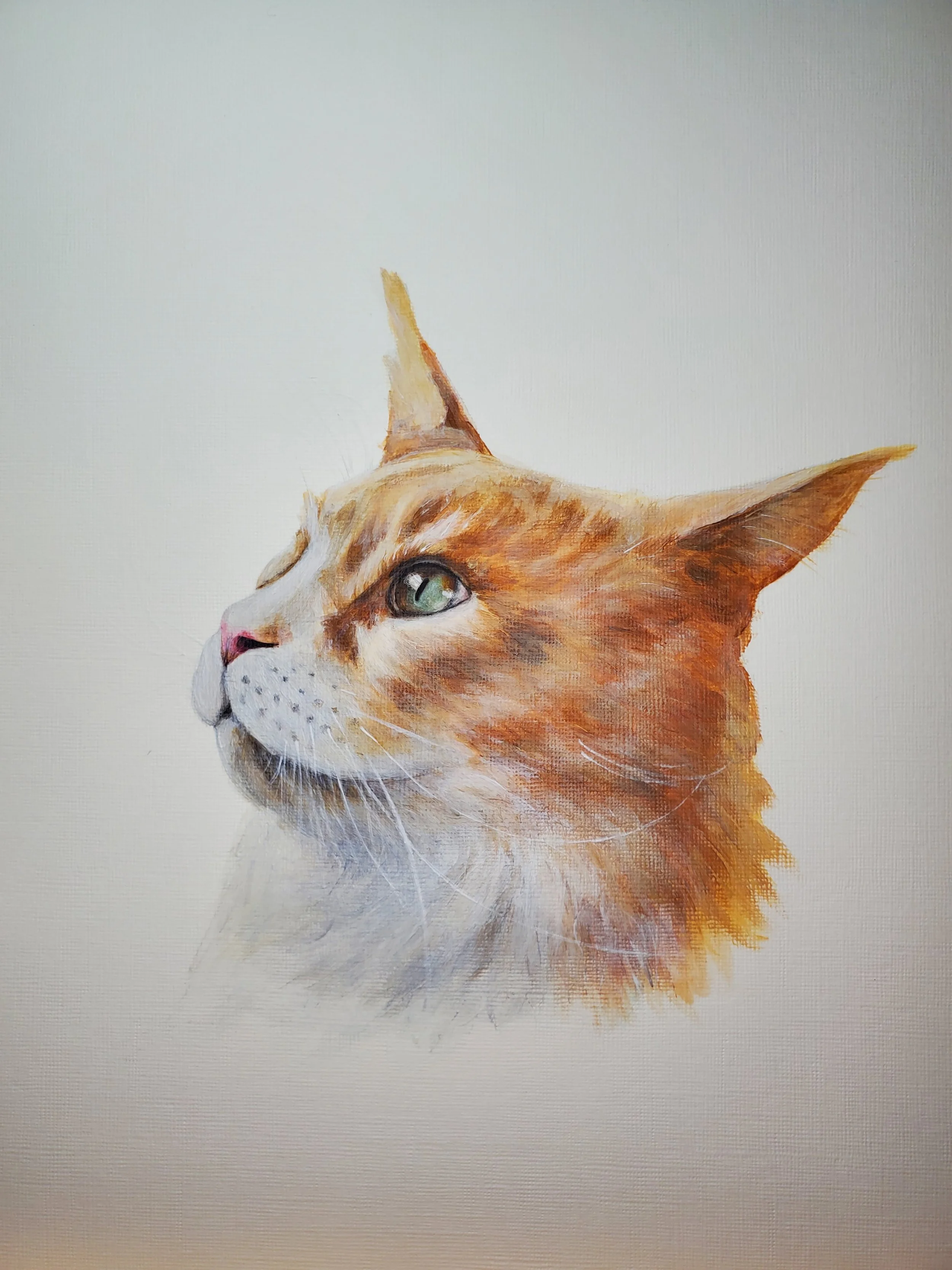orange cat - acrylic on paper