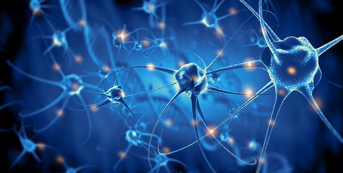 Neurons.jpg