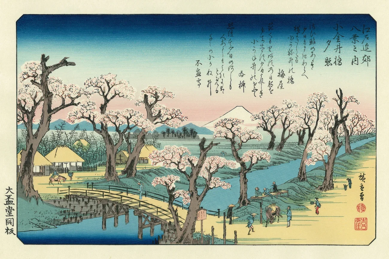 Cherry blossom art drawing