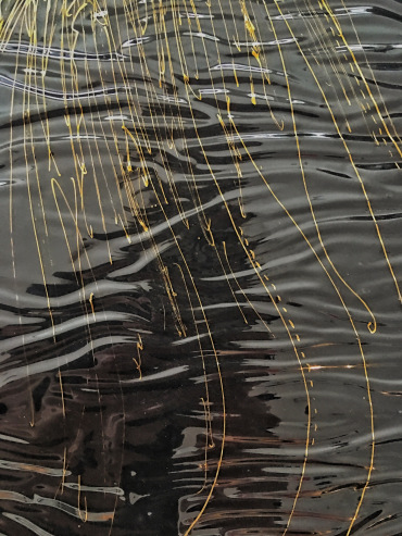 1795c729-a968-4521-b6b2-fc219bf6ad91.jpeg