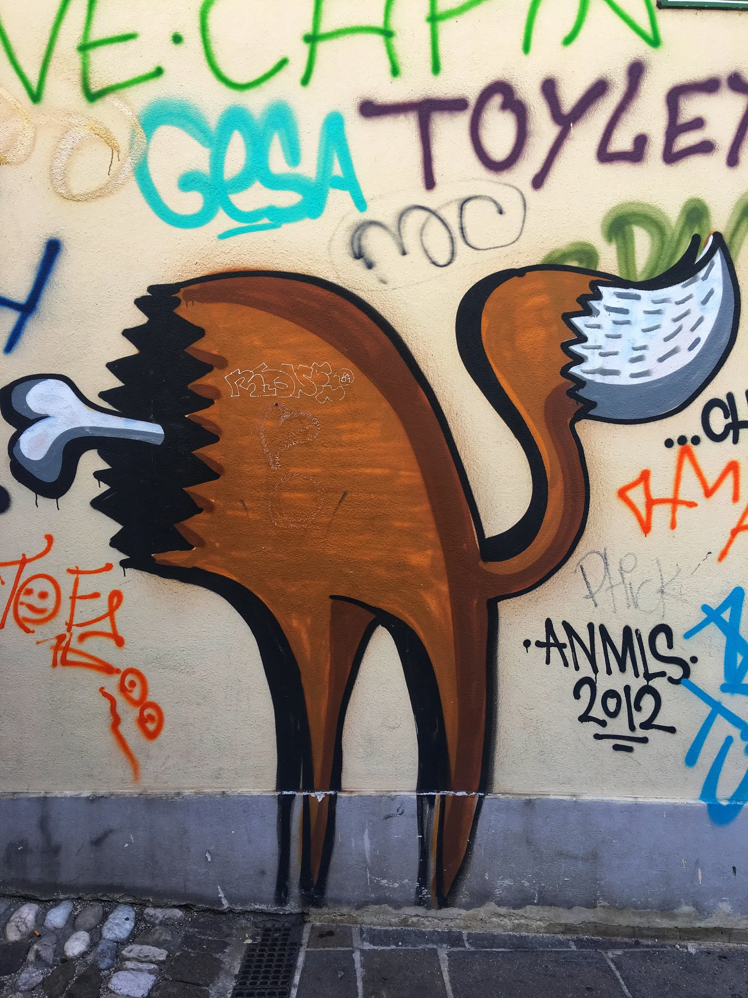 IMG_6100.jpeg
