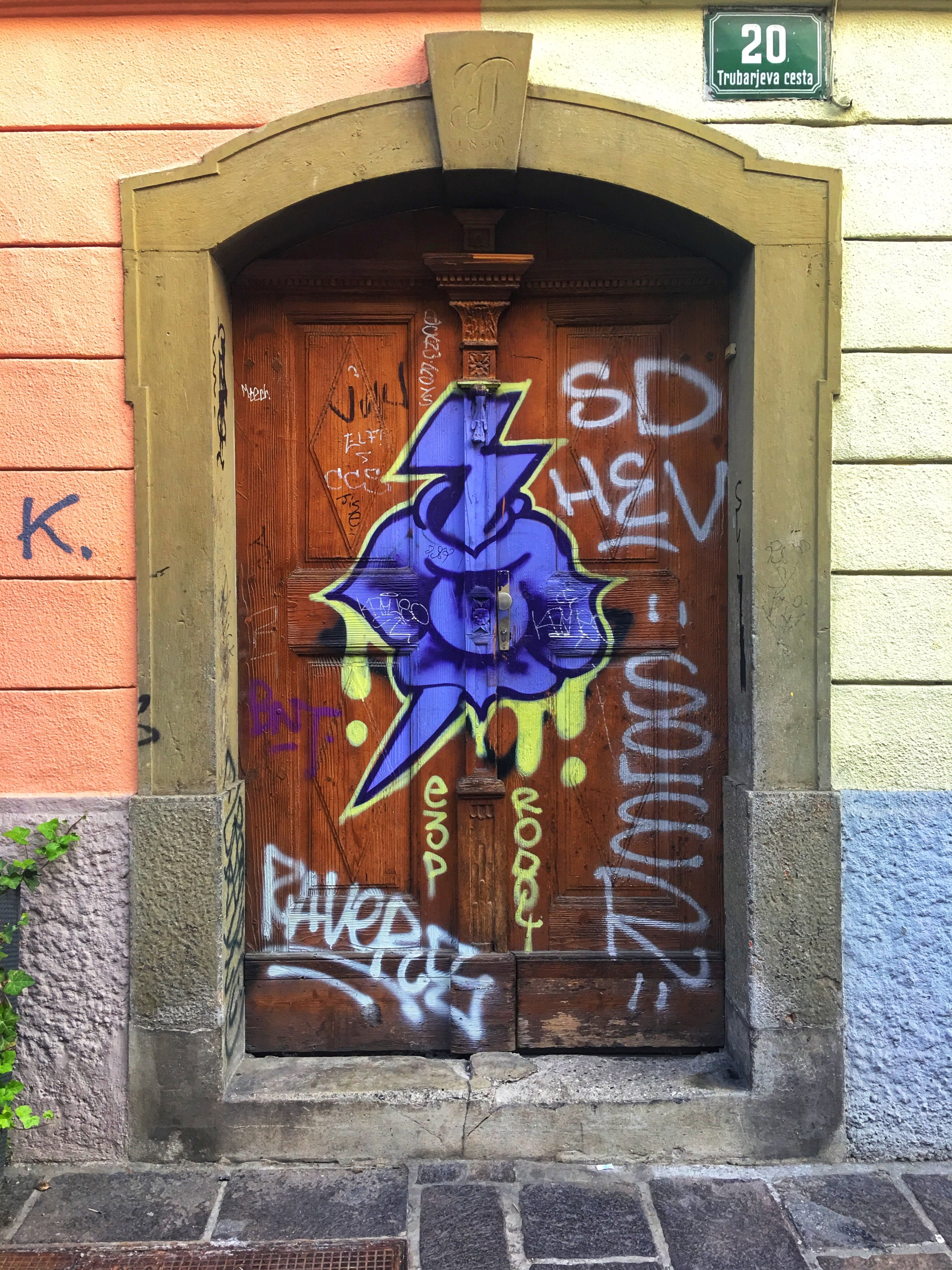 IMG_6101.jpeg