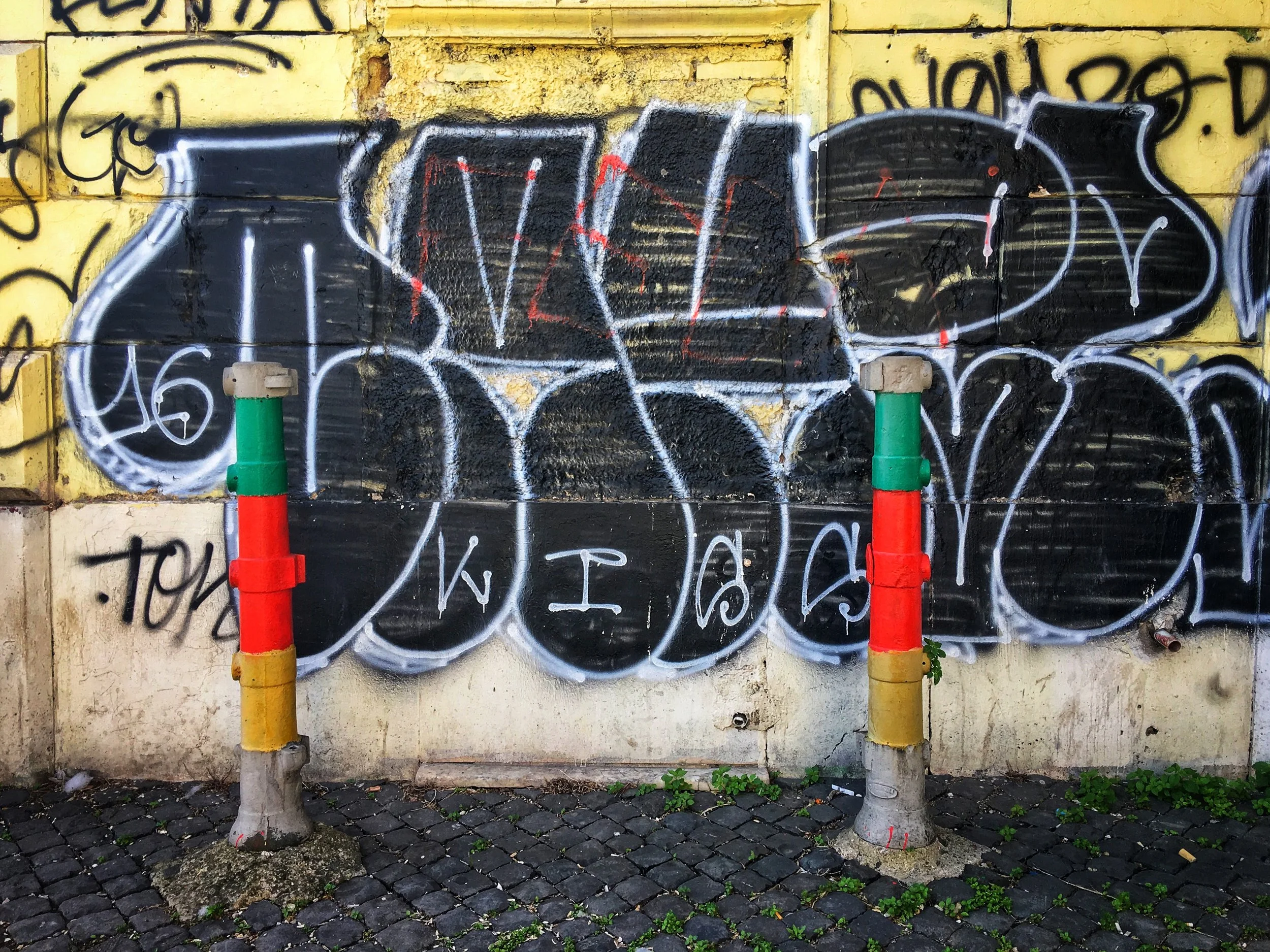 IMG_9149.jpeg