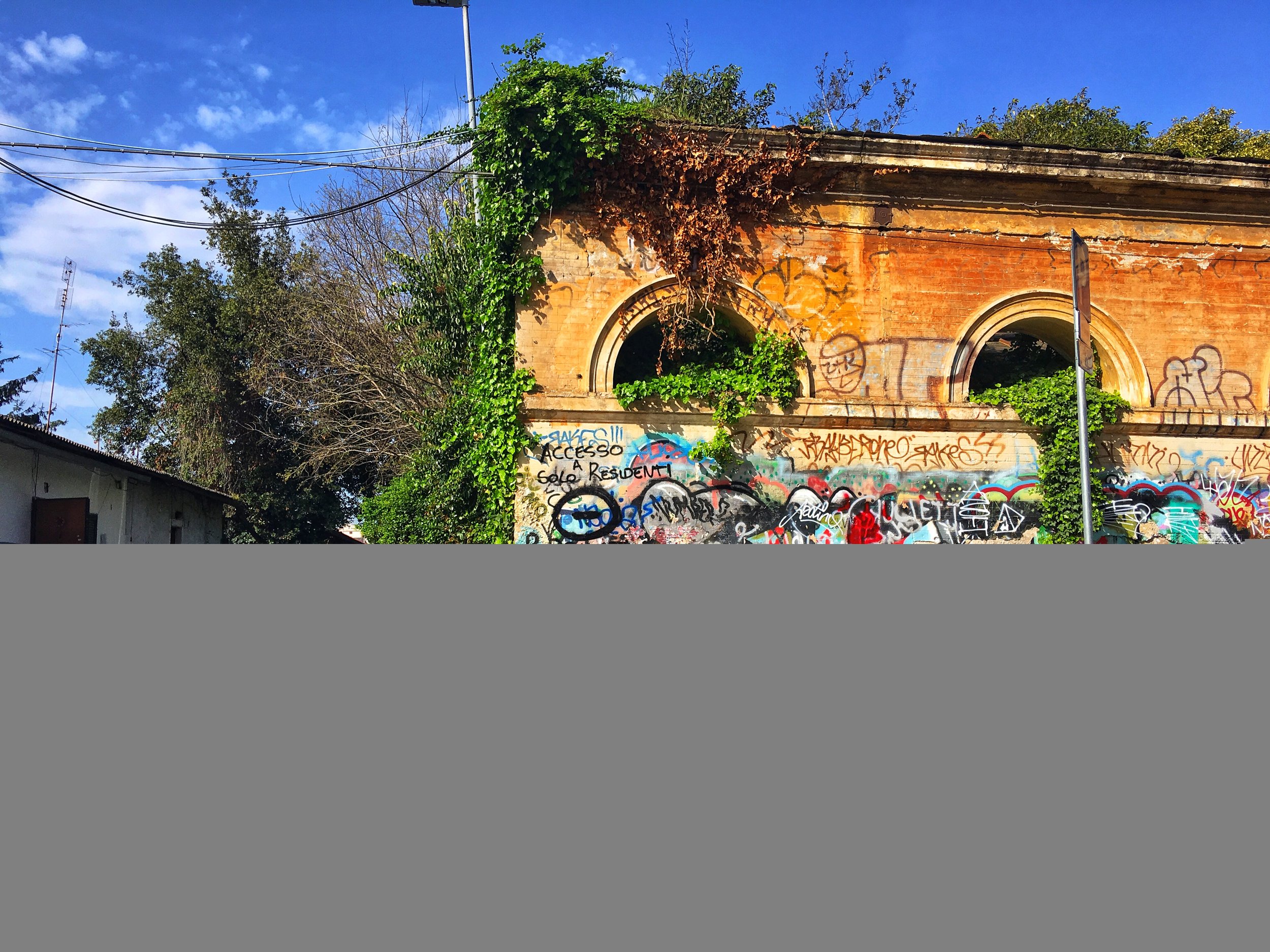 IMG_9153.jpeg