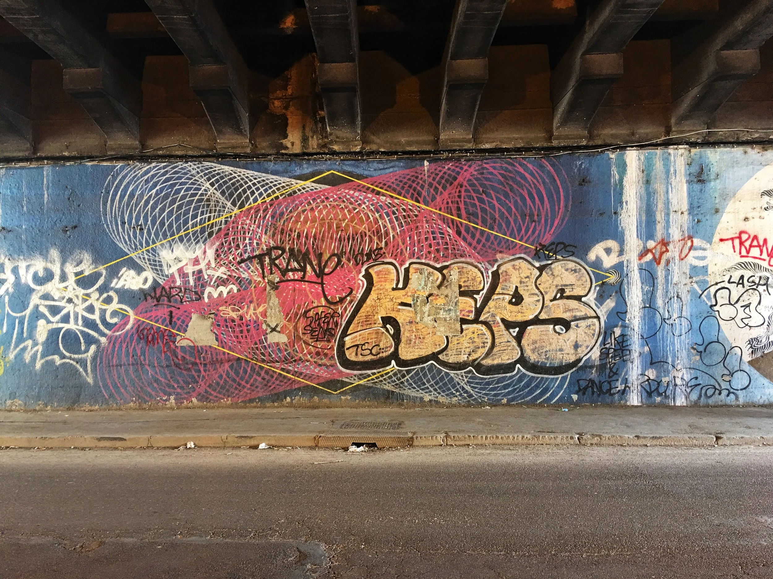 IMG_9341.jpeg