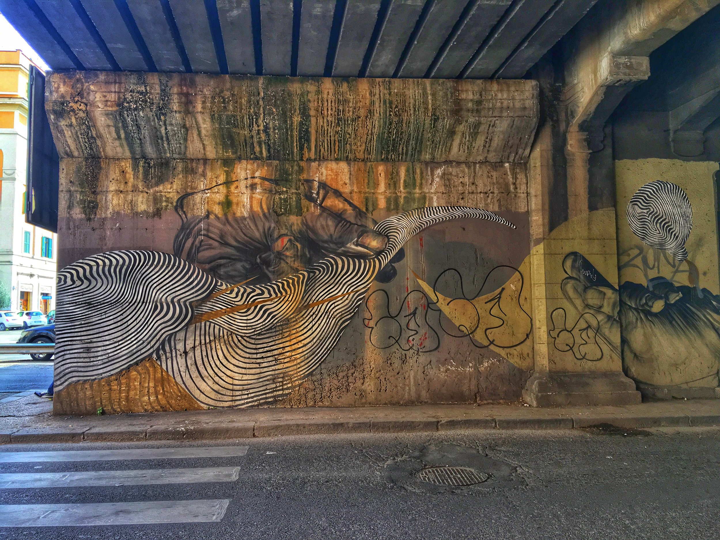 IMG_9356.jpeg