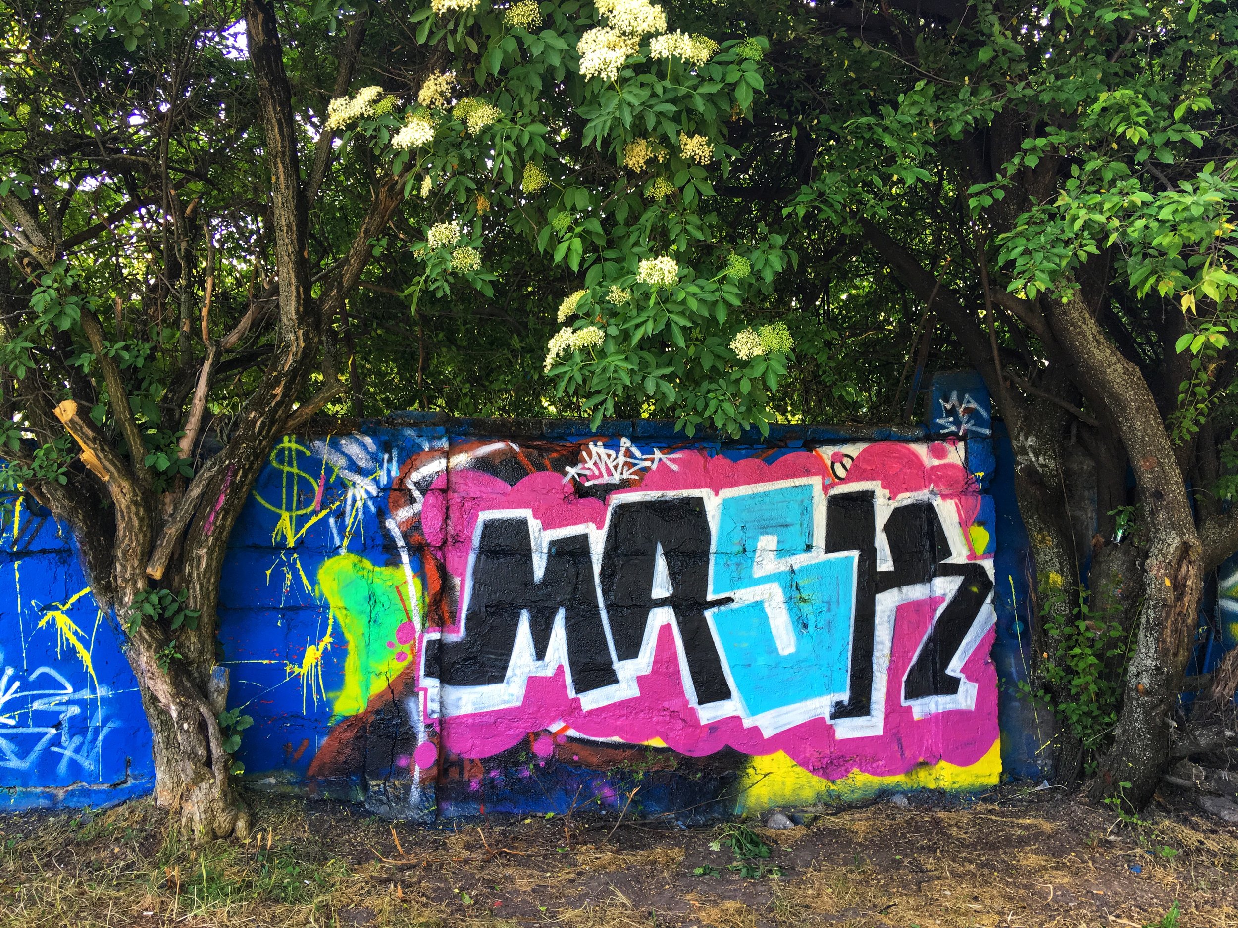 IMG_2492.jpeg