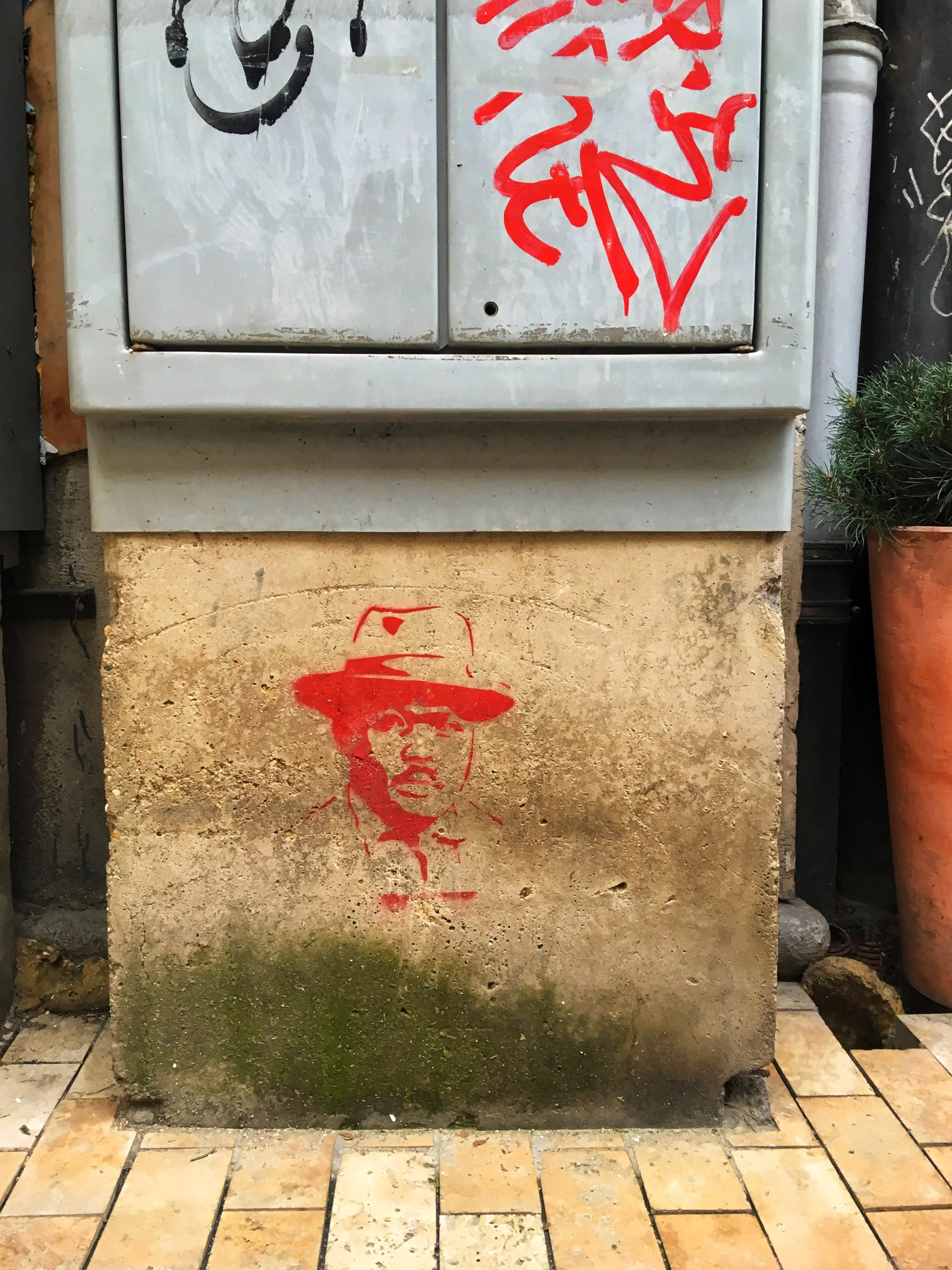 IMG_3496.jpeg