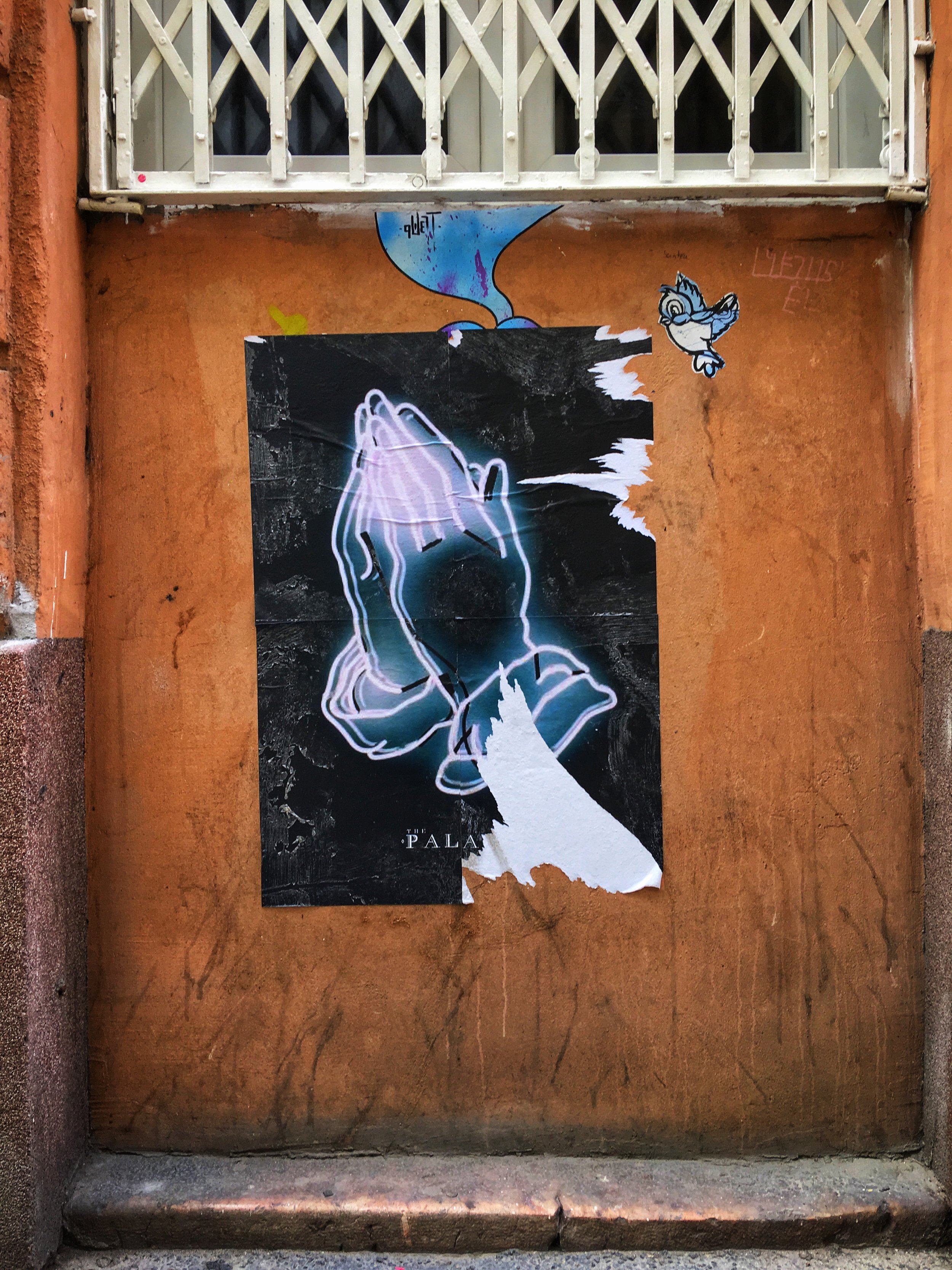 IMG_5110.jpeg