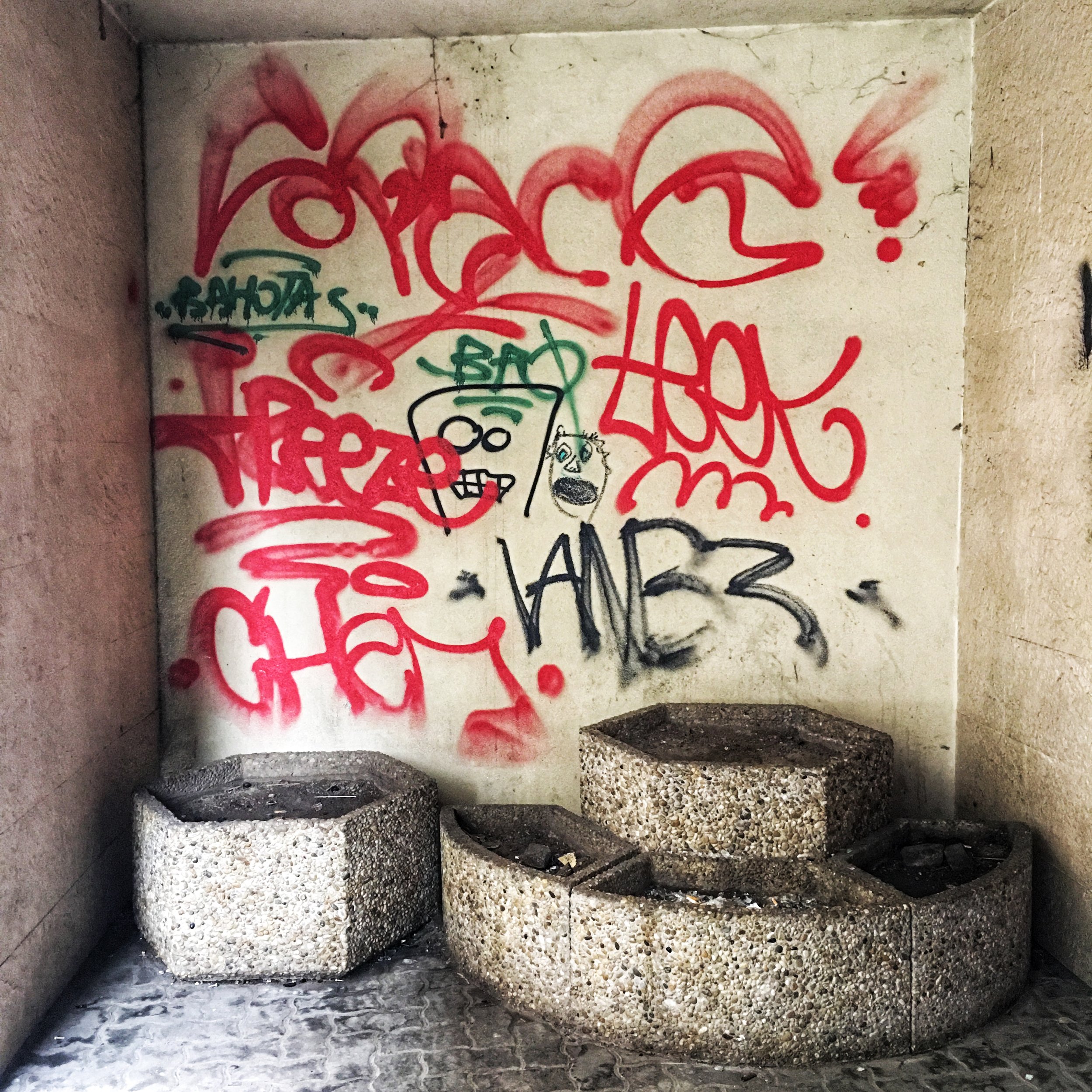 IMG_6906.jpeg