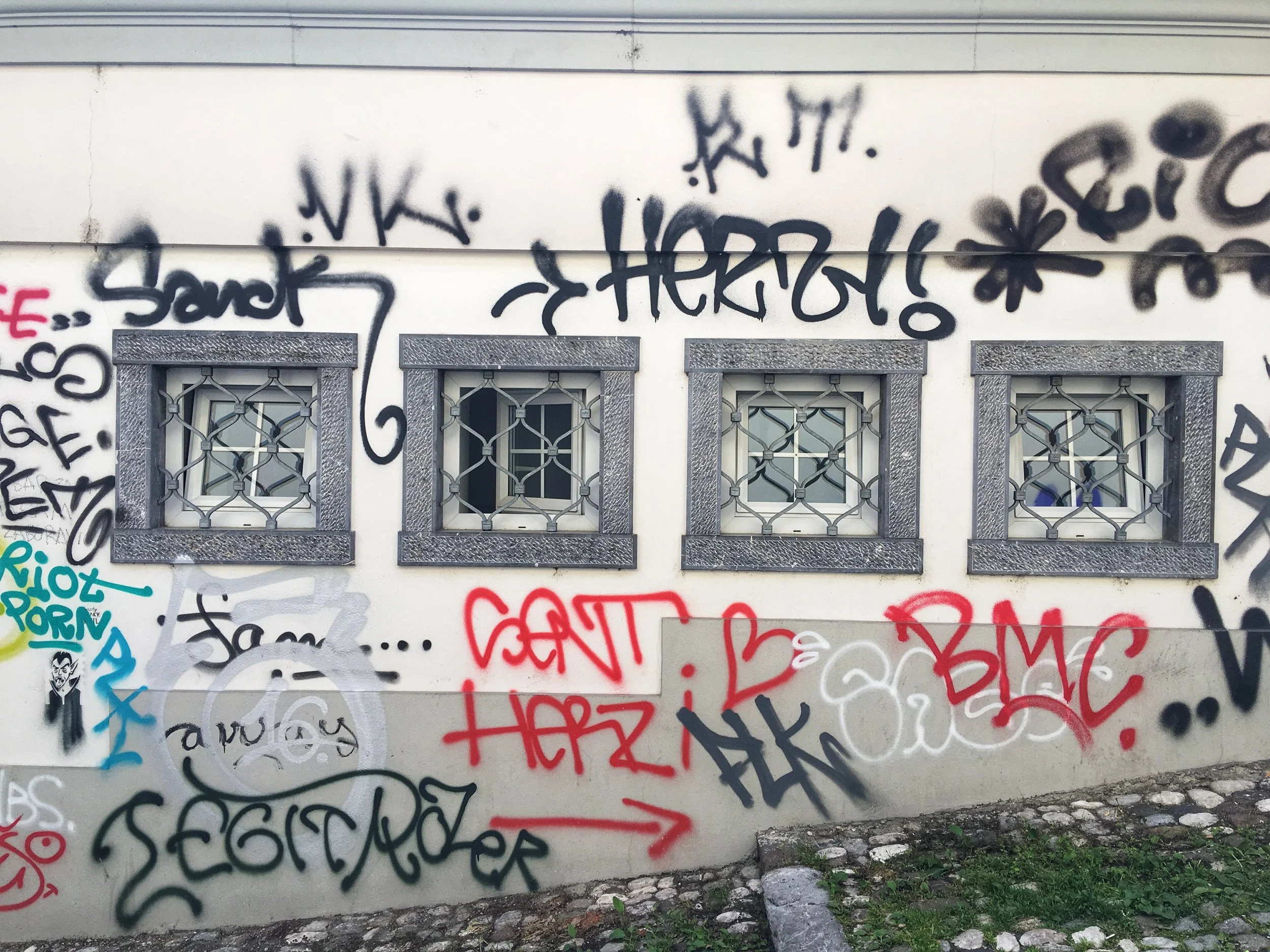 IMG_5353.jpeg