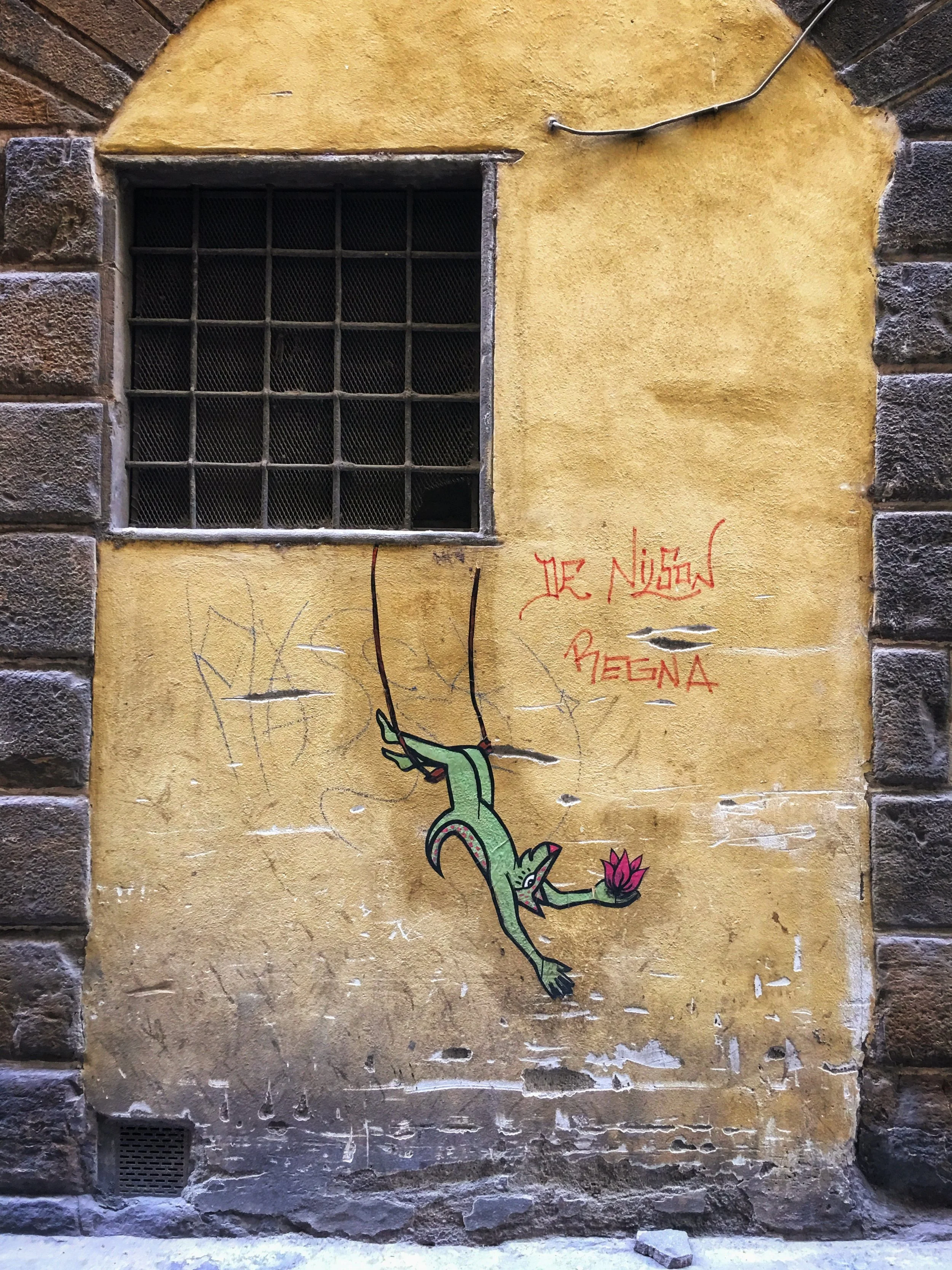 IMG_6707.jpeg