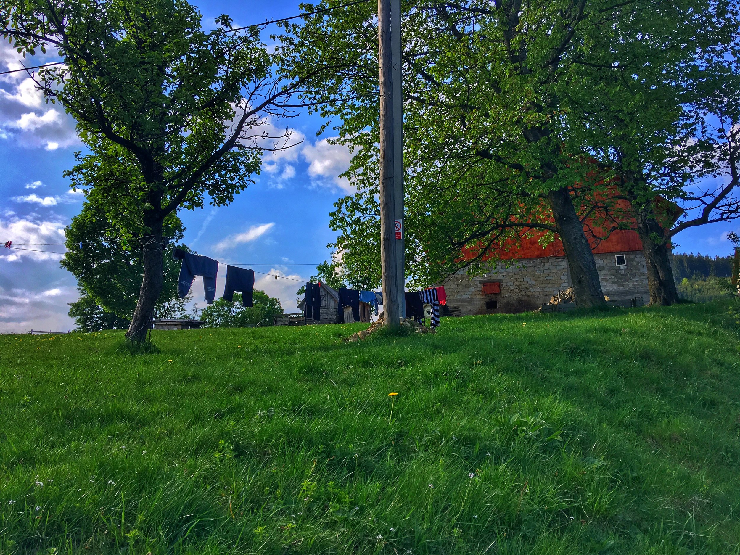 IMG_2814.jpeg