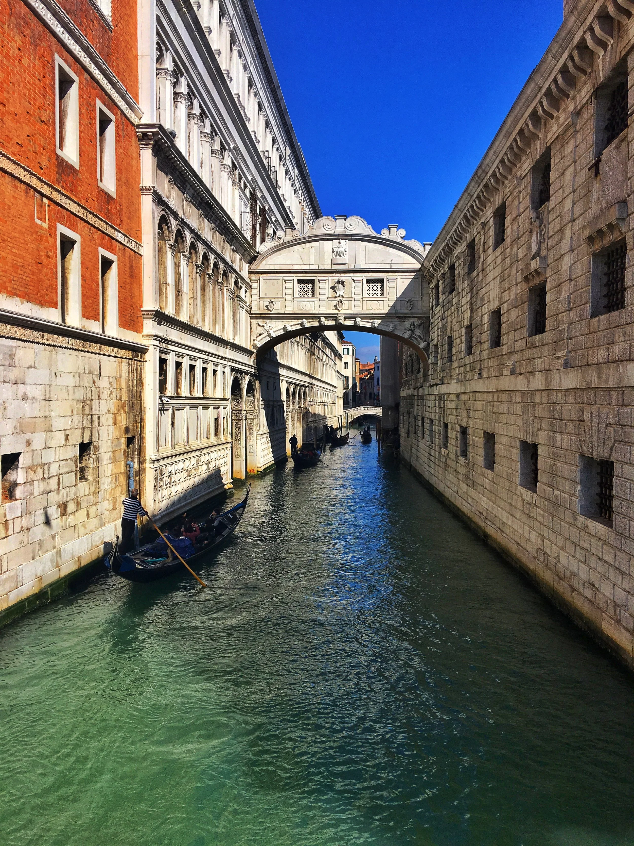 IMG_6233.jpeg
