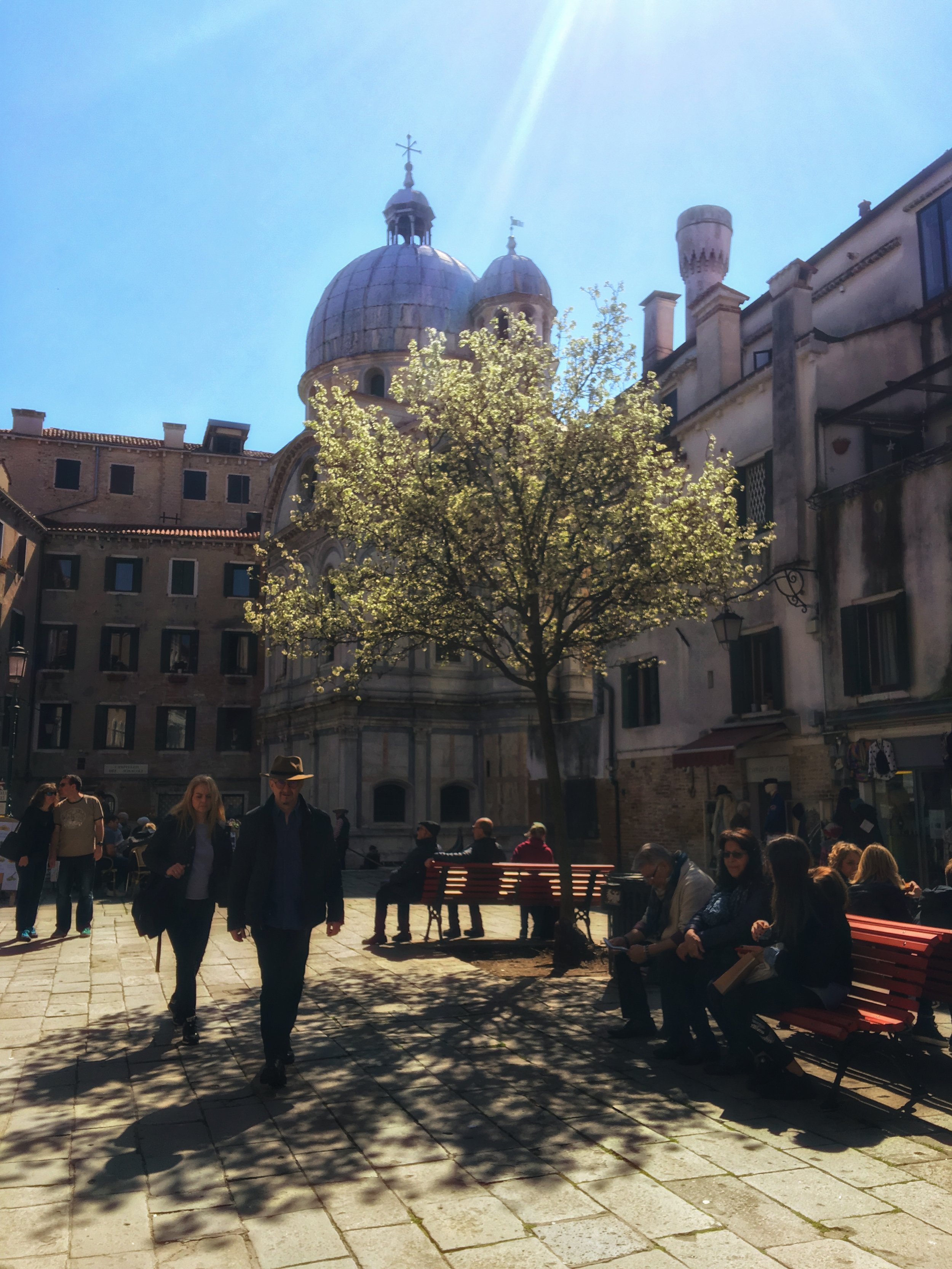 IMG_6332.jpeg