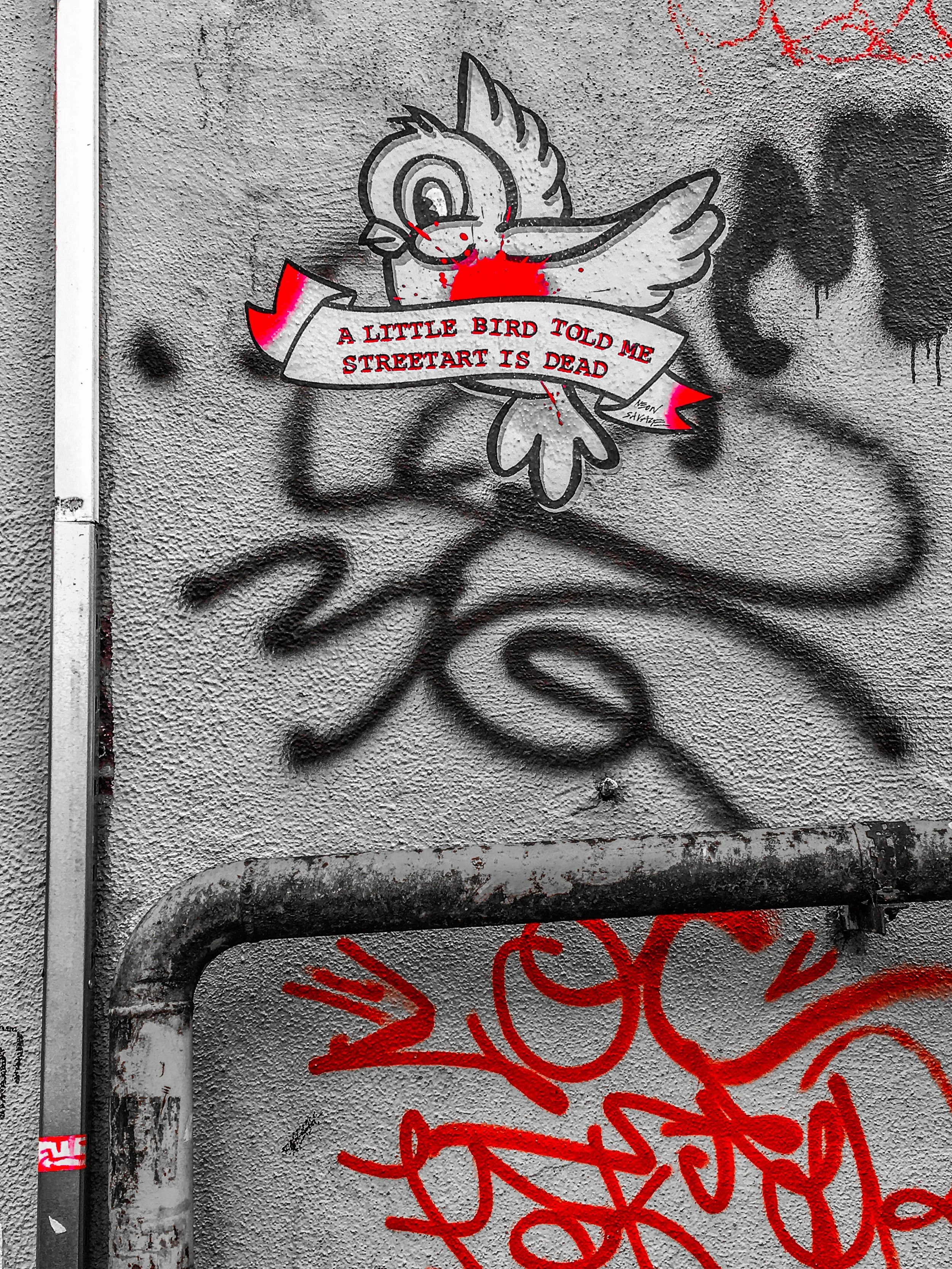 EFCB89F8-78F4-4E36-B0C1-D6C324317062.jpeg