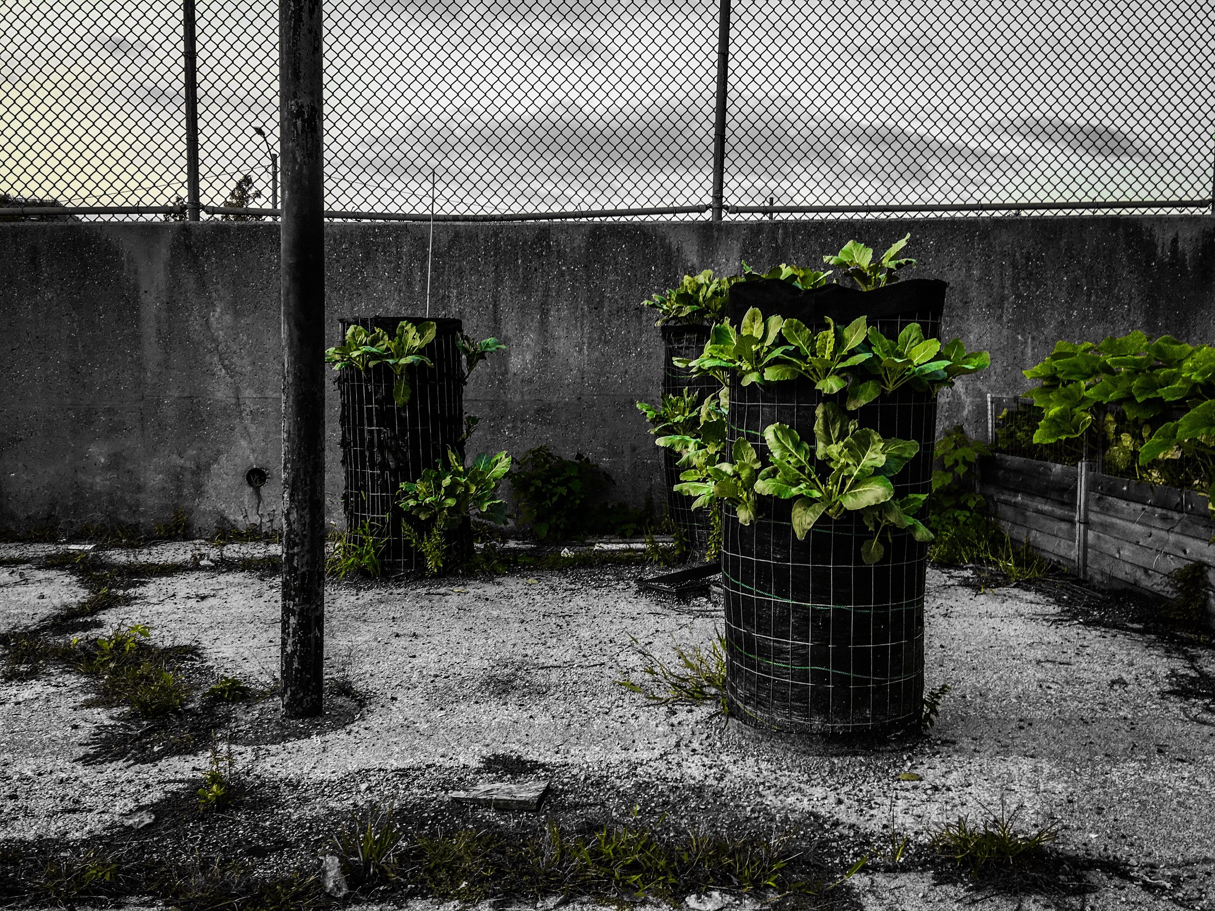 0F757A83-064D-4229-9602-EBA5FFC6116C.jpeg