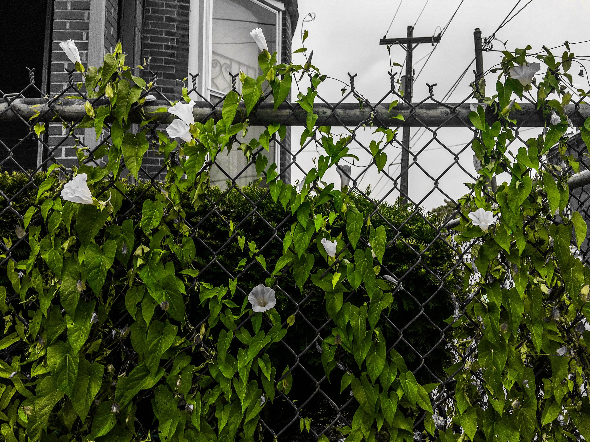 3A0EC6DF-A5F5-4A59-BB19-B477DF3E651F.jpeg
